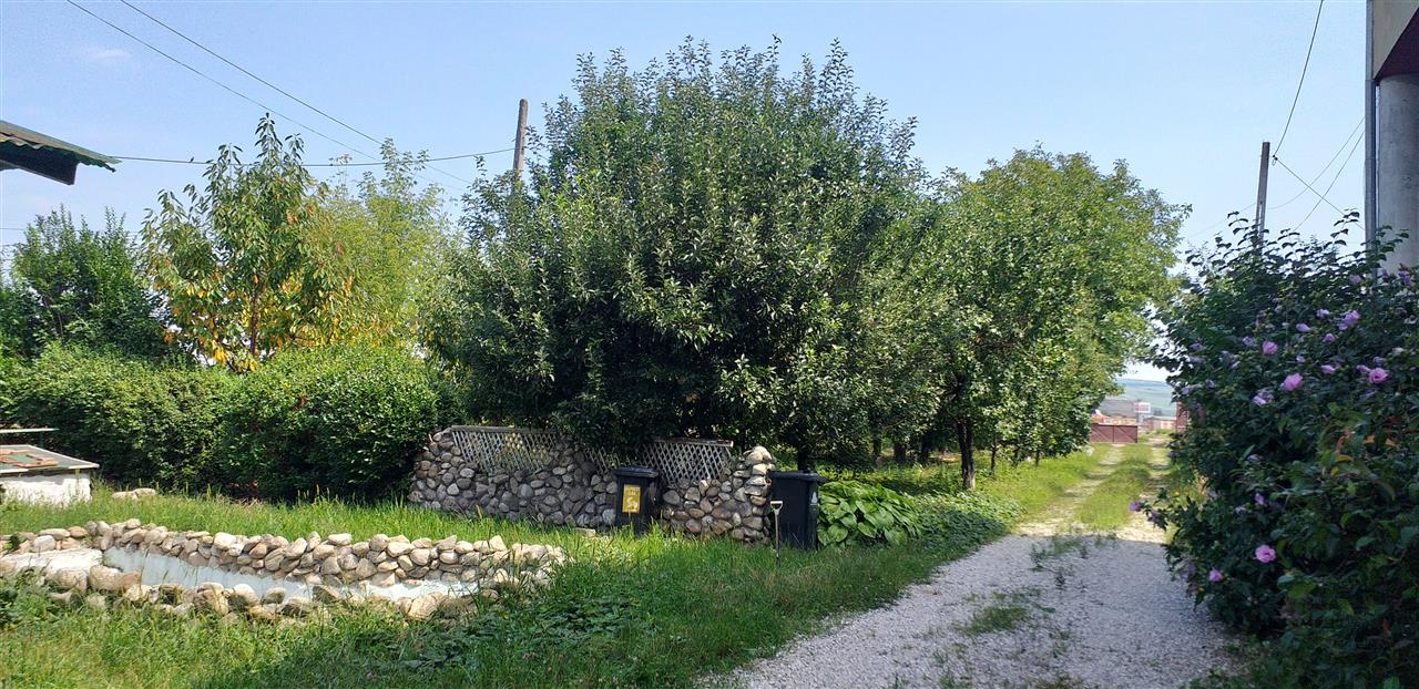 CASA 4 CAMERE, 2000 MP TEREN, ZONA KAUFLAND - foto 3