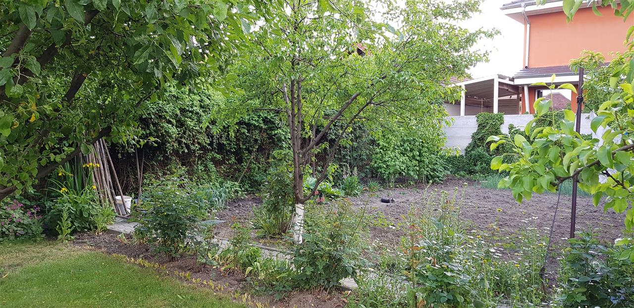 Casa ideala pentru transformare in pensiune - foto 5