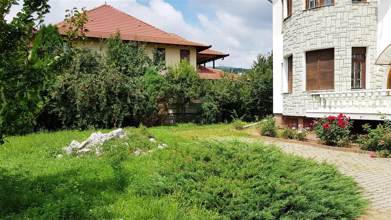 Casa de vanzare Cetate pretabila ca pensiune - foto 2