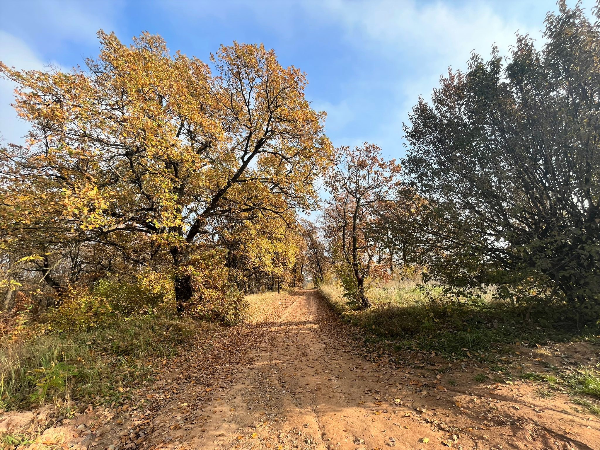 Teren de vanzare,  zona exclusivista,  2400MP - Alba Iulia