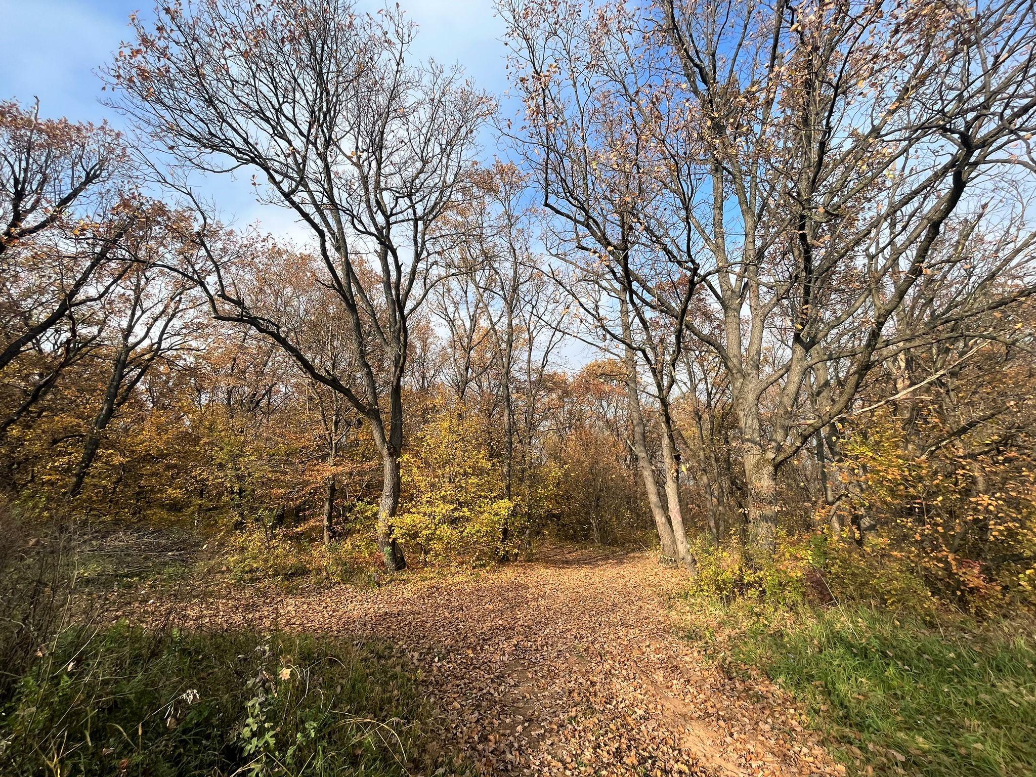 Teren de vanzare,  zona exclusivista,  2400MP - foto 5