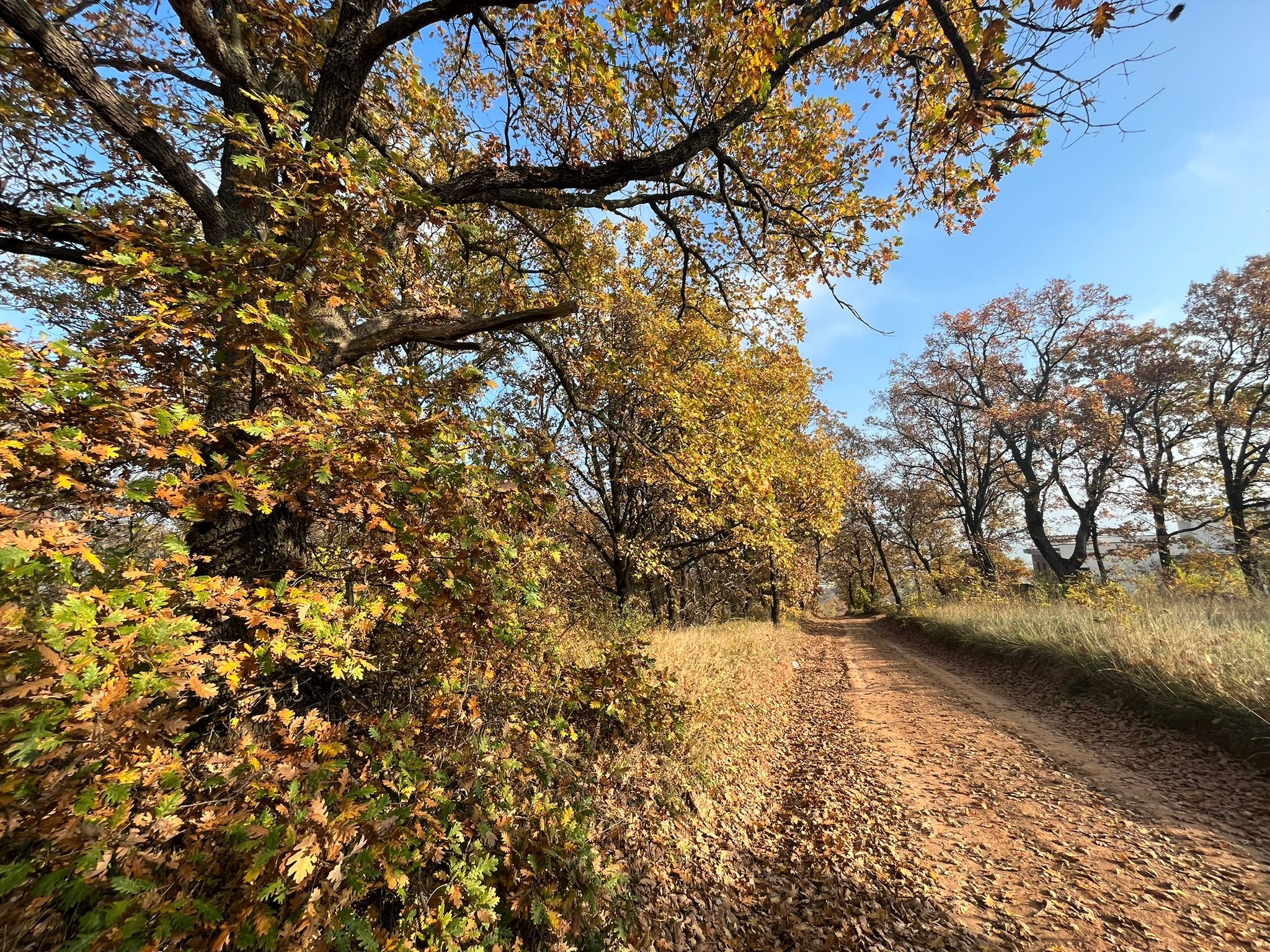 Teren de vanzare,  zona exclusivista,  2400MP - foto 2