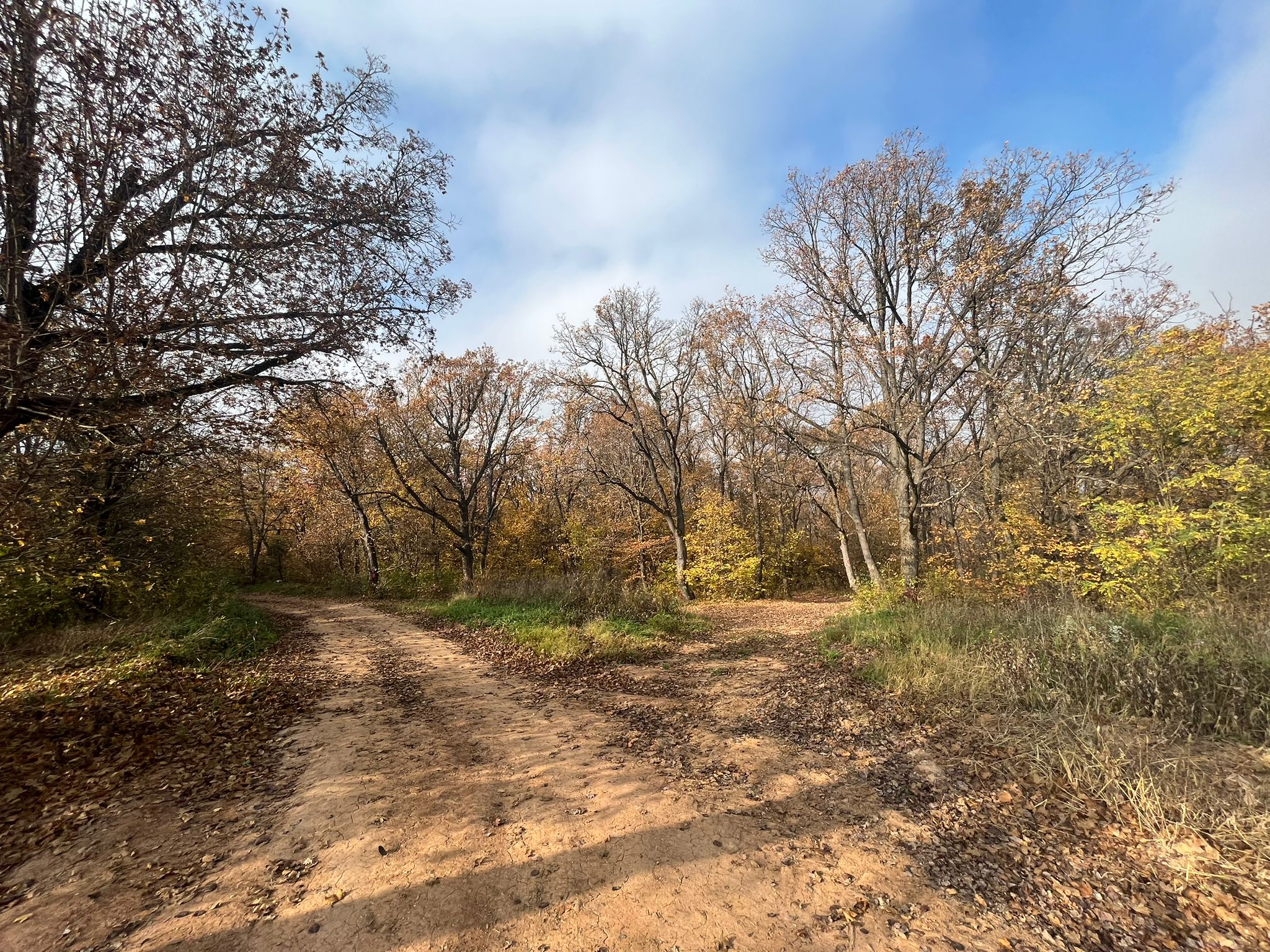 Teren de vanzare,  zona exclusivista,  2400MP - foto 4