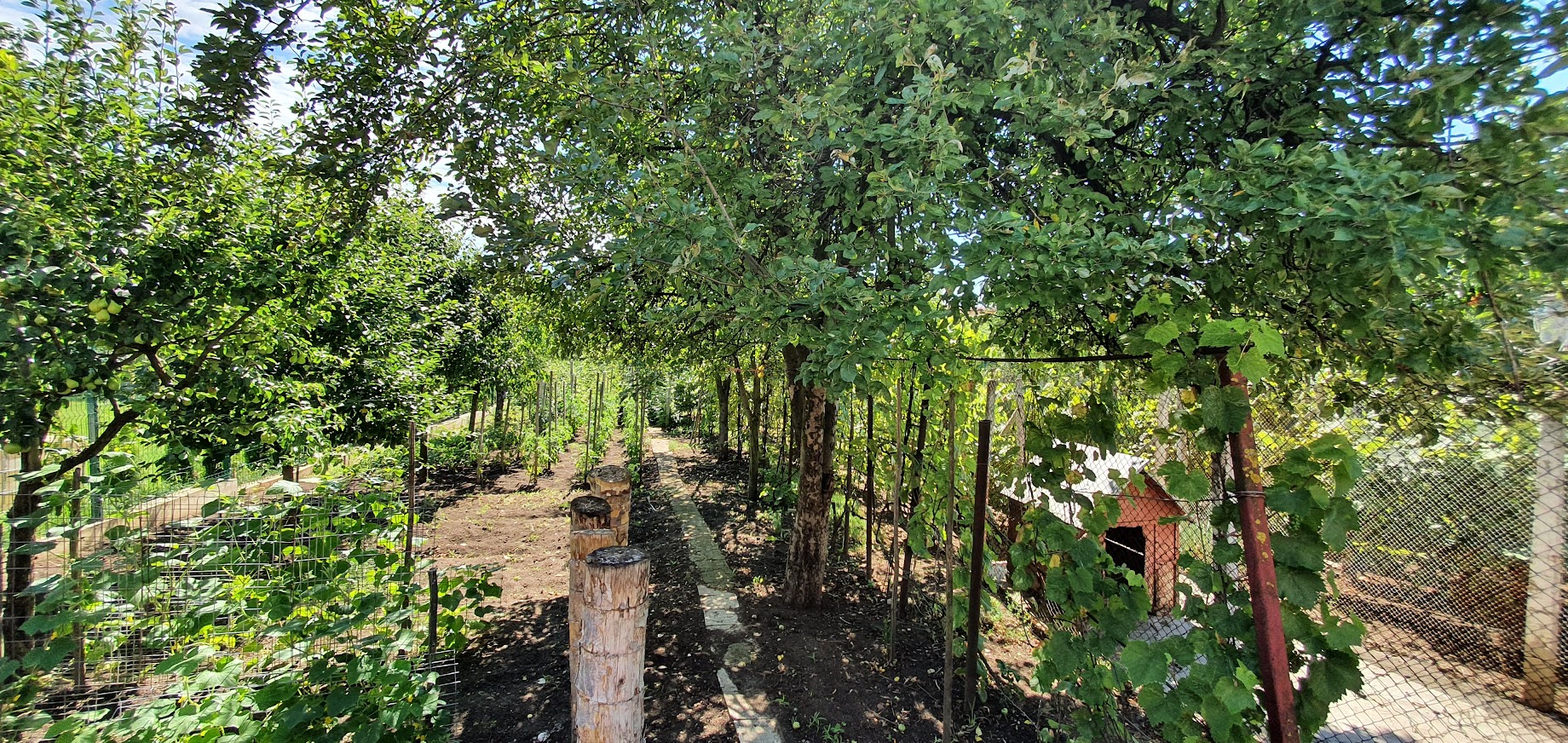 Casa cu 4 camere, garaj, teren 791 mp, zona Schit - foto 3