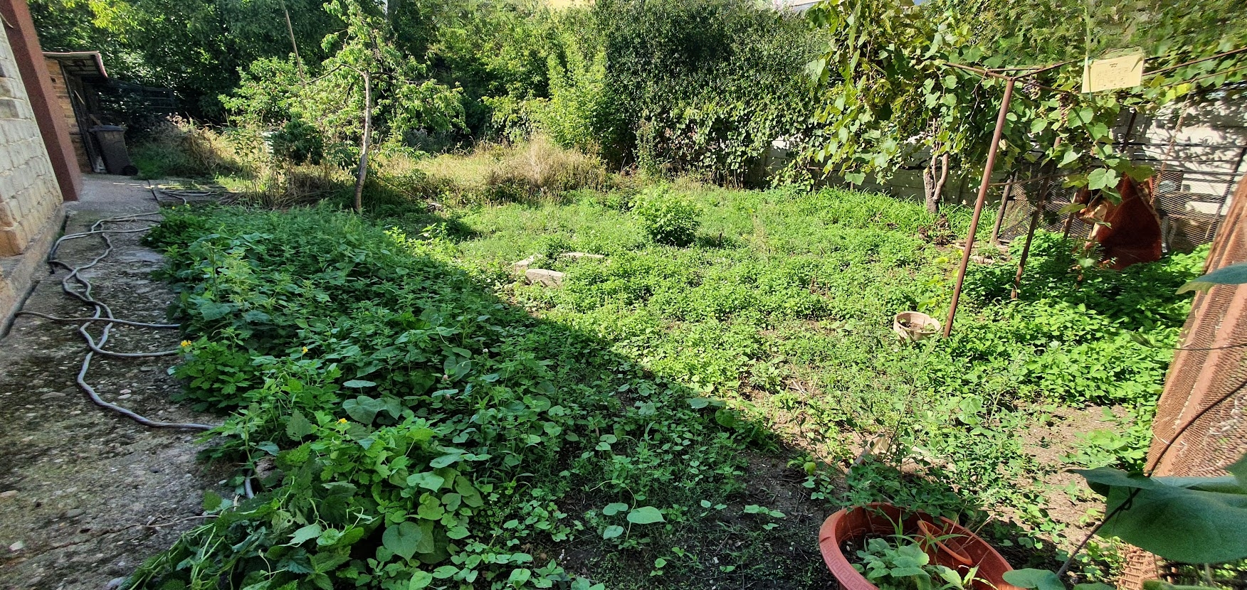 Casa cu 5 camere, 768 mp teren, Cetate - foto 3