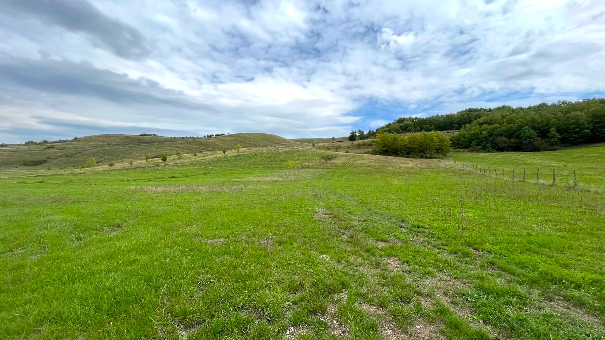 Teren de vanzare in Ciugud, 4200MP, Priveliste, Padure - Ciugud