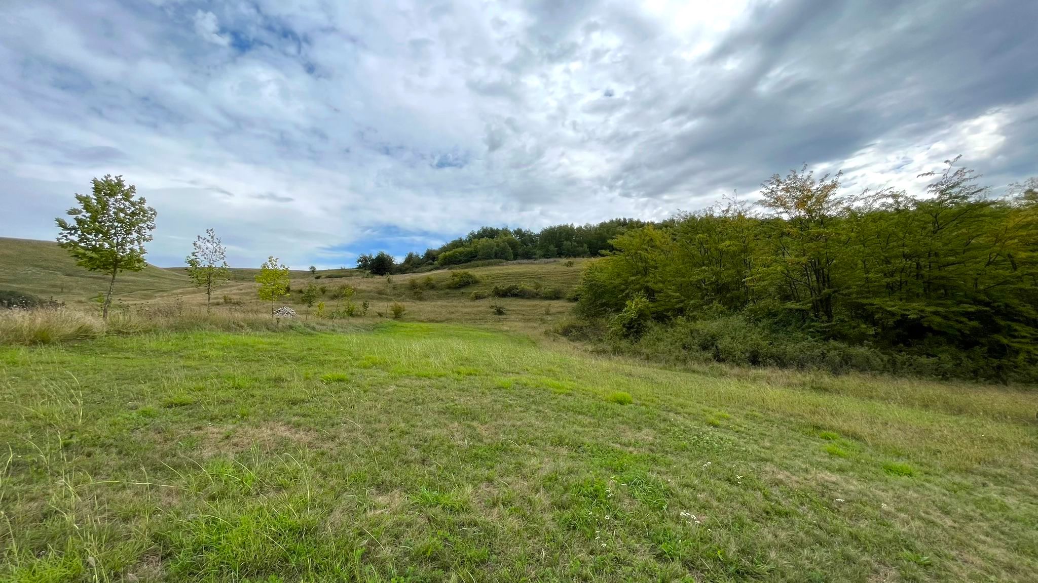 Teren de vanzare in Ciugud, 4200MP, Priveliste, Padure - foto 2