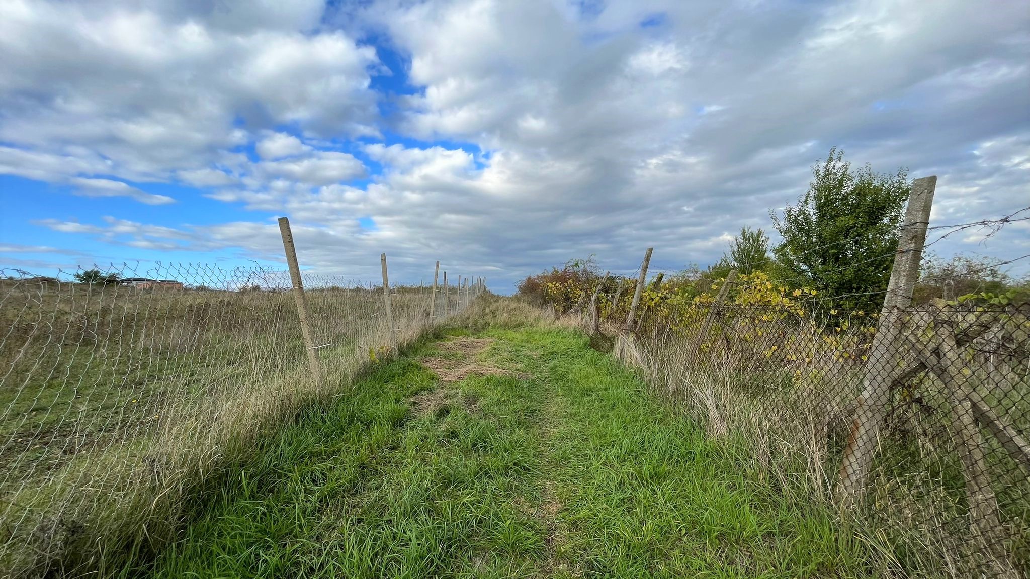 Teren de vanzare, zona Schit, panorama, 1500mp - foto 4