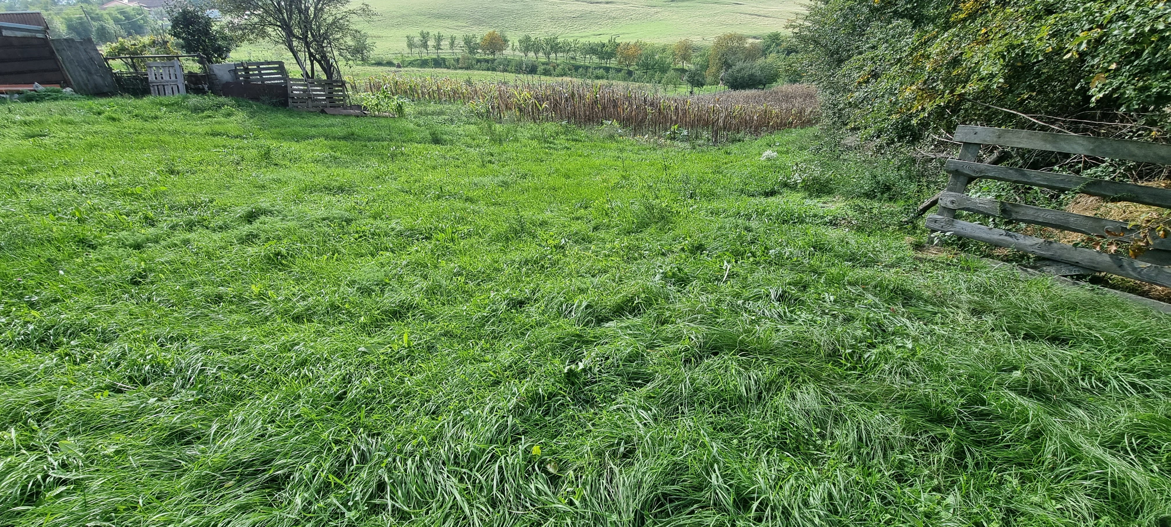 De vanzare 4003mp teren , Oarda de Sus - foto 4