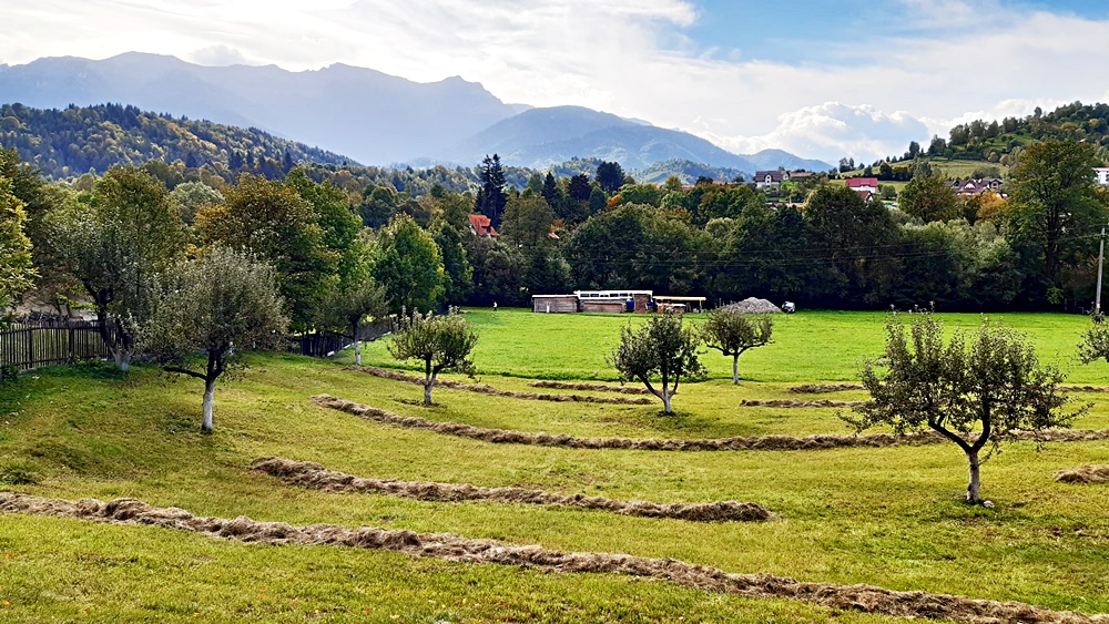 Teren superb de 16240mp, parcelabil, in Bran la intrare in Moeciu de Jos - Bran