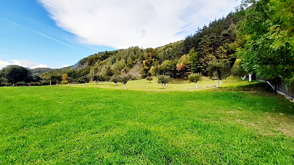 Teren superb de 16240mp, parcelabil, in Bran la intrare in Moeciu de Jos - foto 5