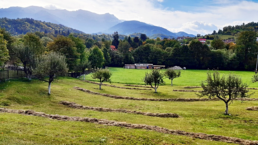 Teren superb de 16240mp, parcelabil, in Bran la intrare in Moeciu de Jos - foto 3