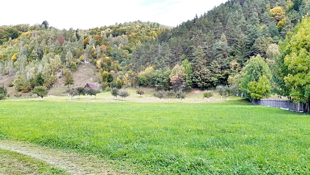 Teren superb de 16240mp, parcelabil, in Bran la intrare in Moeciu de Jos - foto 2