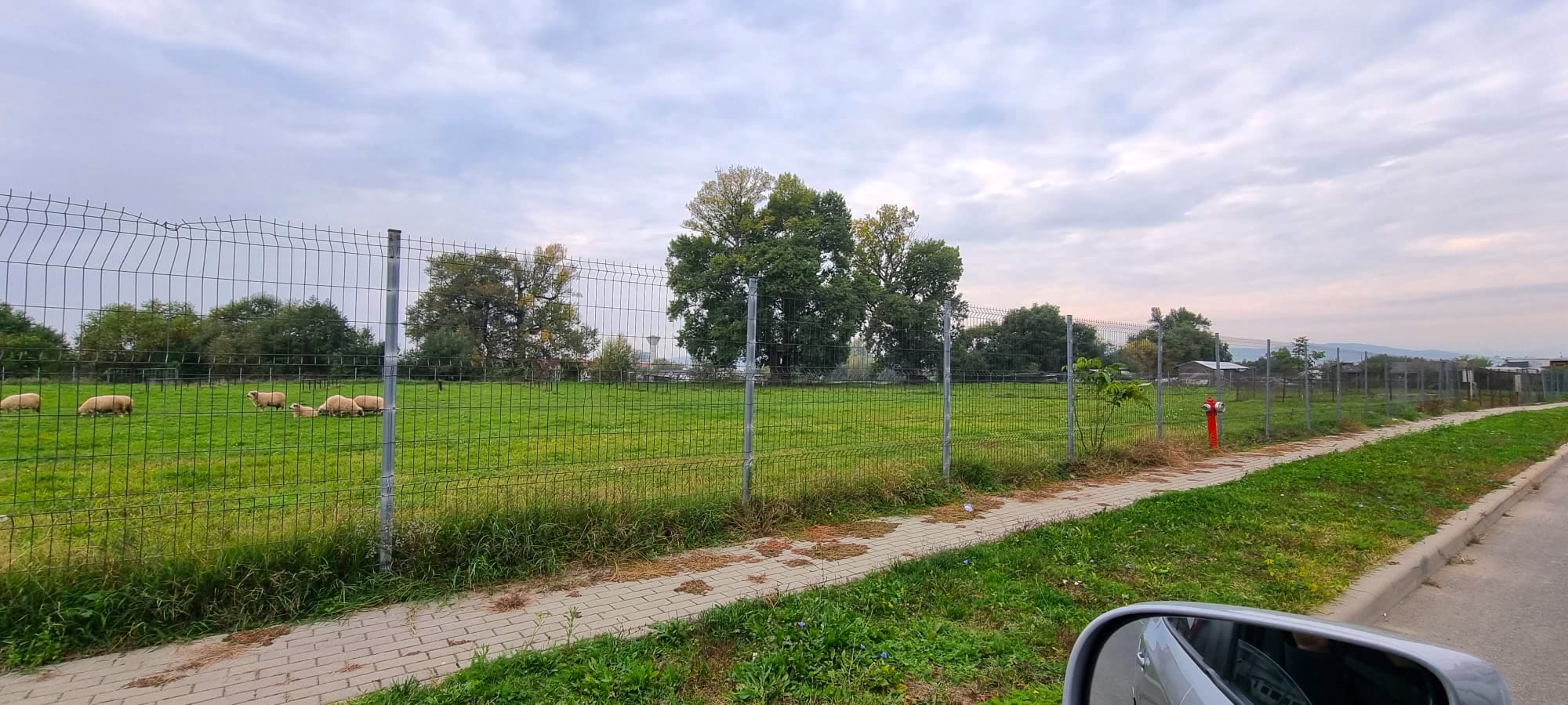 Oportunitate de investitie, posibilitate parcelare, 12.000 MP, Sebes - foto 4