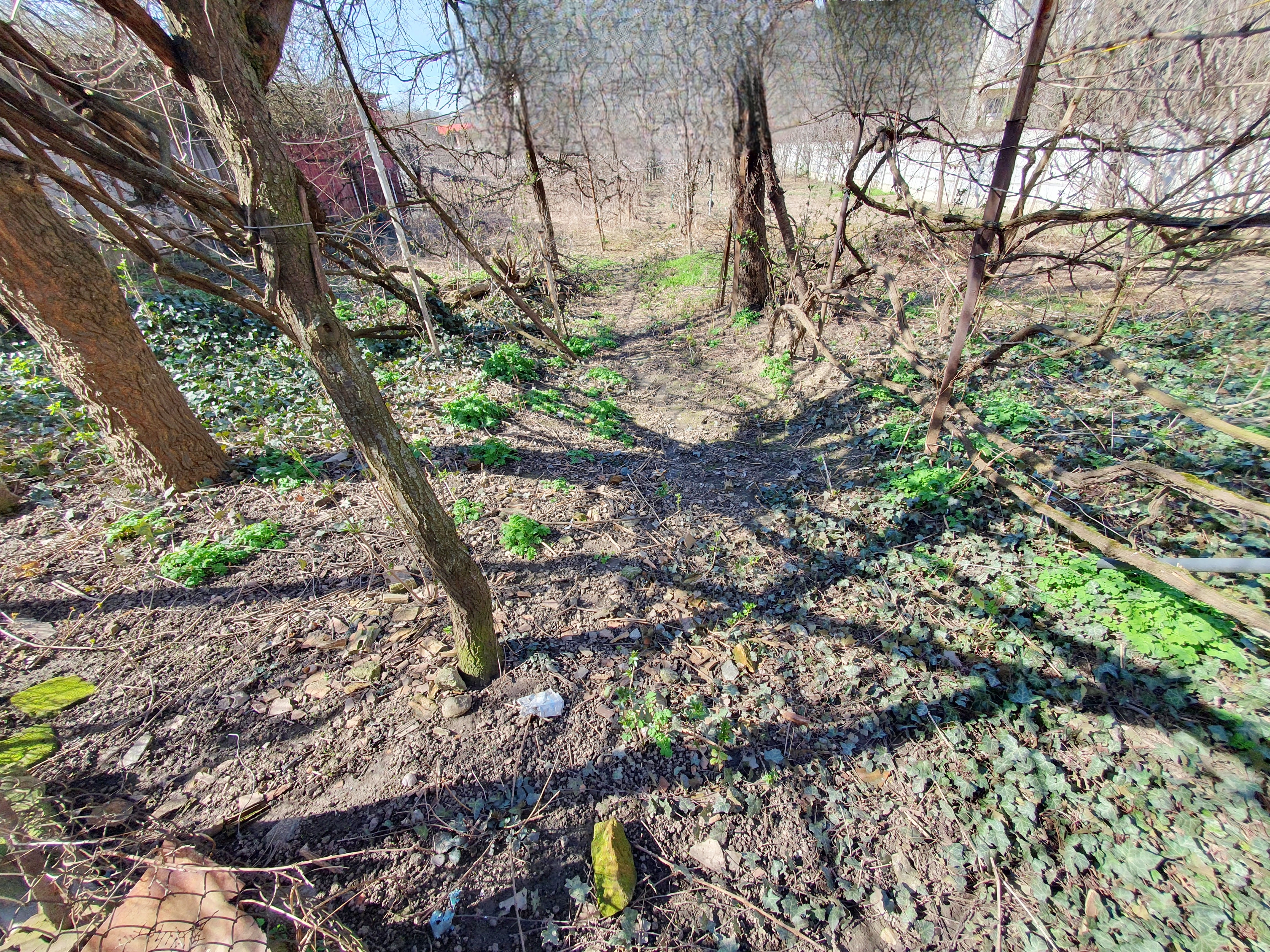 Casa veche, demolabila, 1.426 mp teren parcelabil, zona Maieri - foto 2