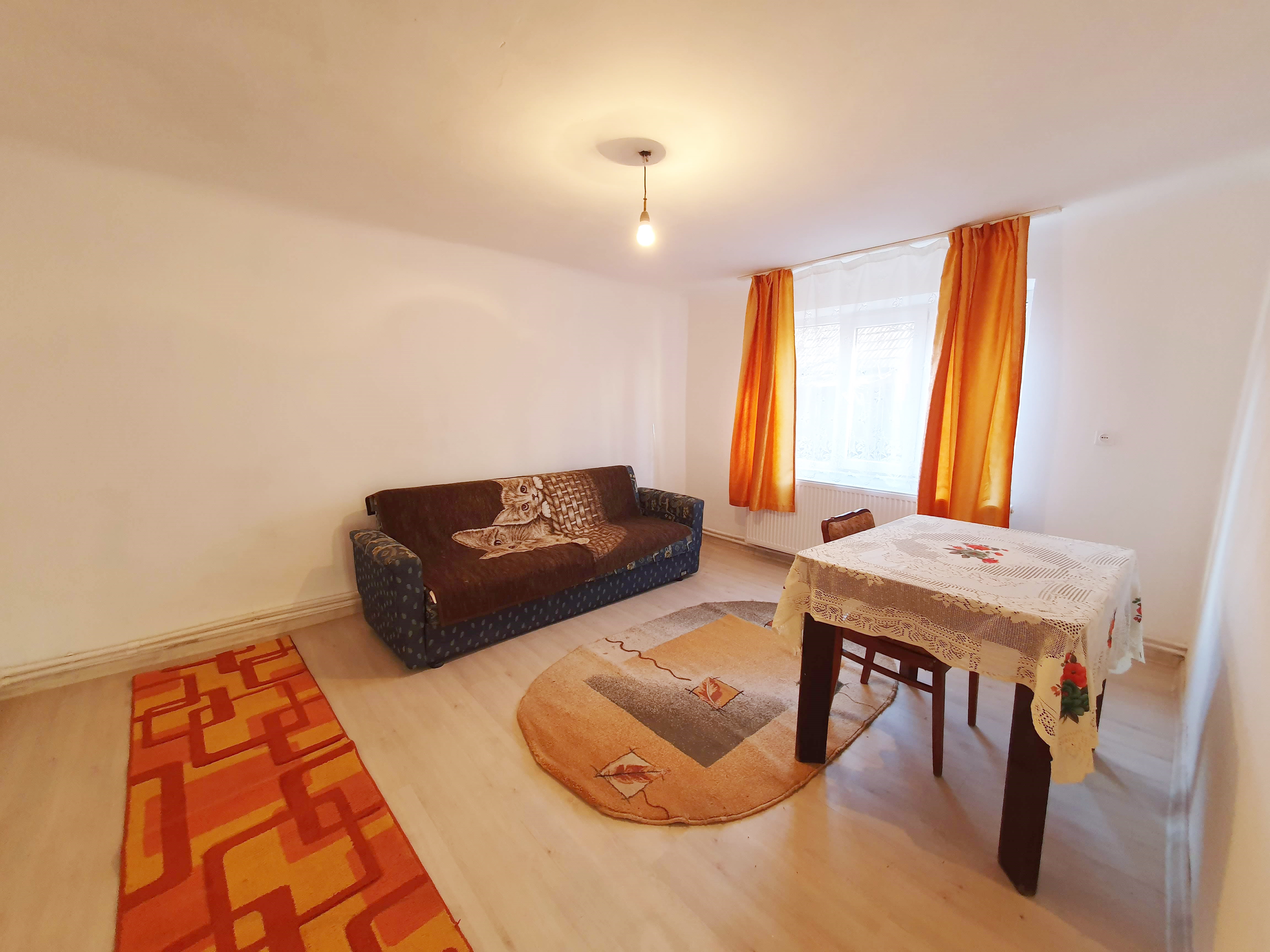 Casa cu 2 camere, 300 mp teren, Cetate - foto 2