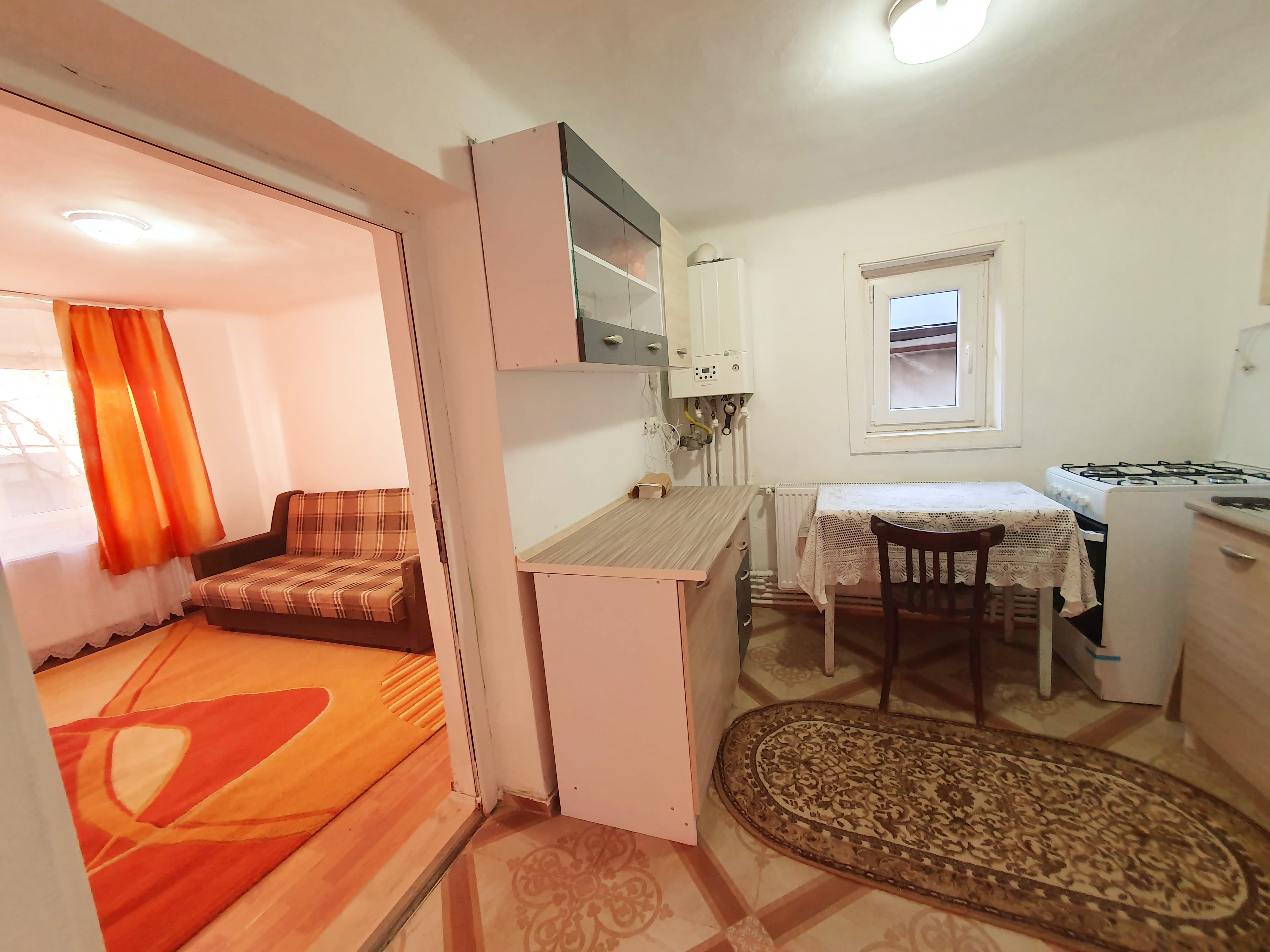 Casa cu 2 camere, 300 mp teren, Cetate - foto 3