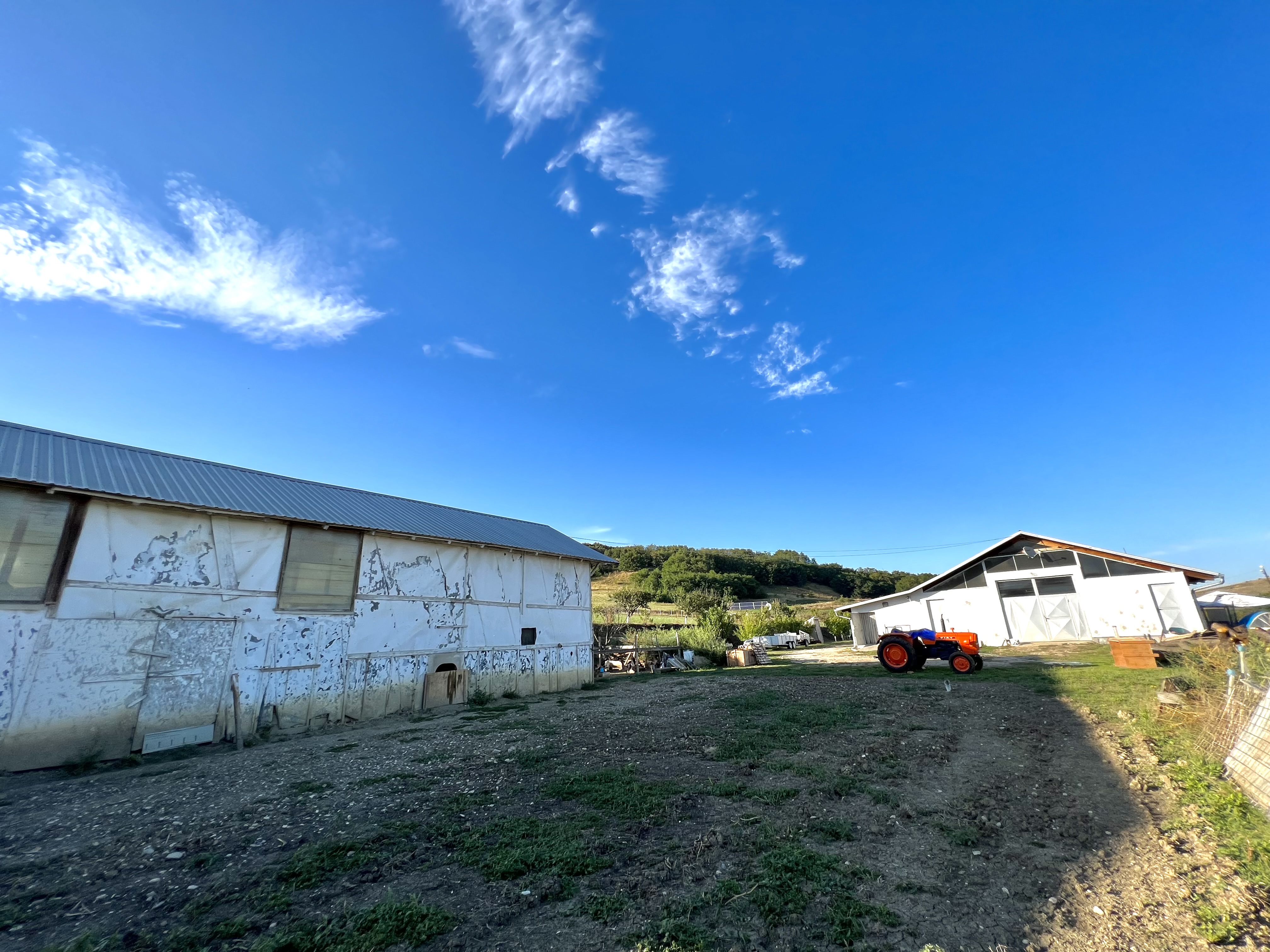 Ferma de vanzare cu 550MP utili si 27.500MP teren la asfalt - foto 5