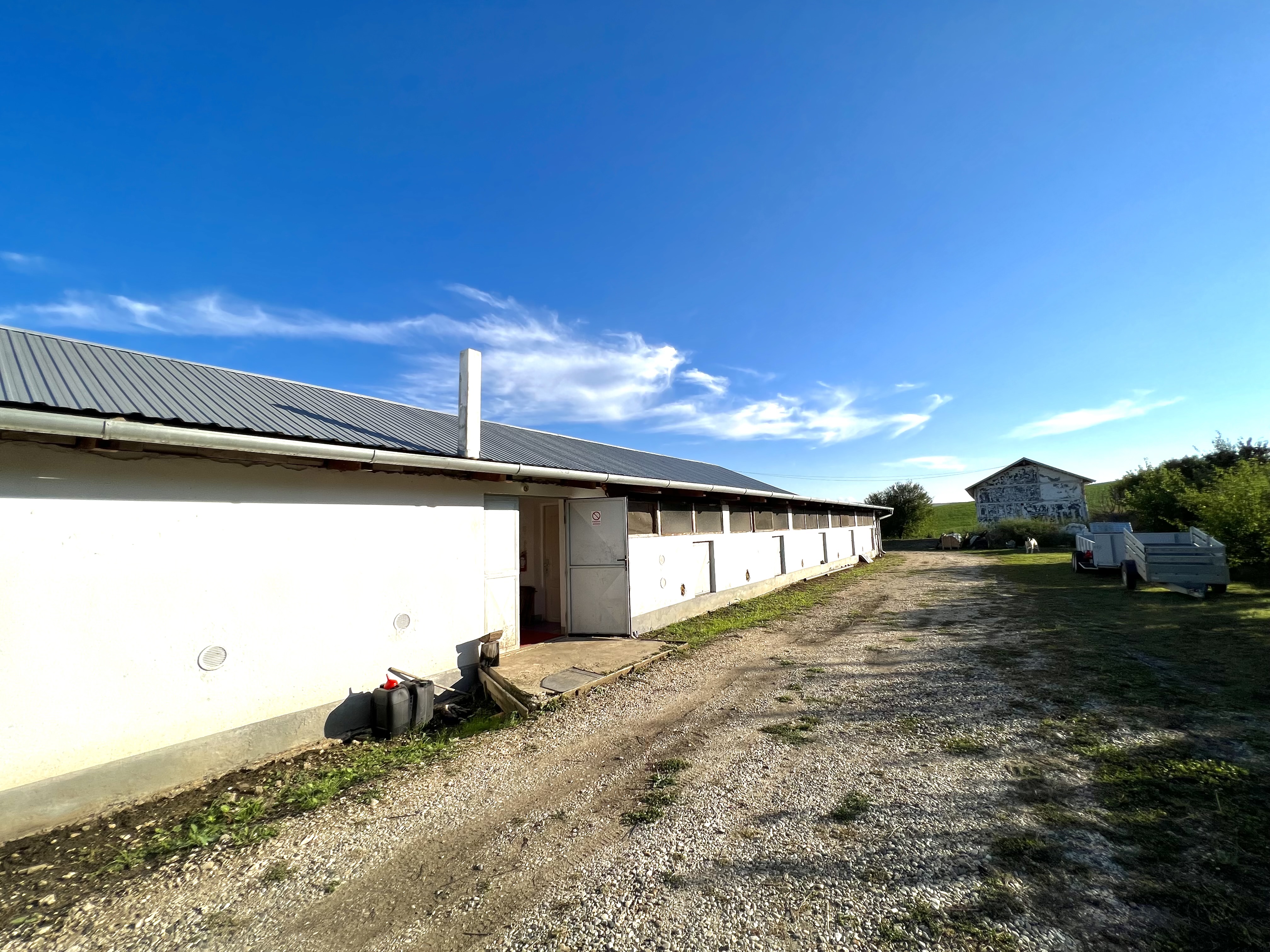 Ferma de vanzare cu 550MP utili si 27.500MP teren la asfalt - foto 4