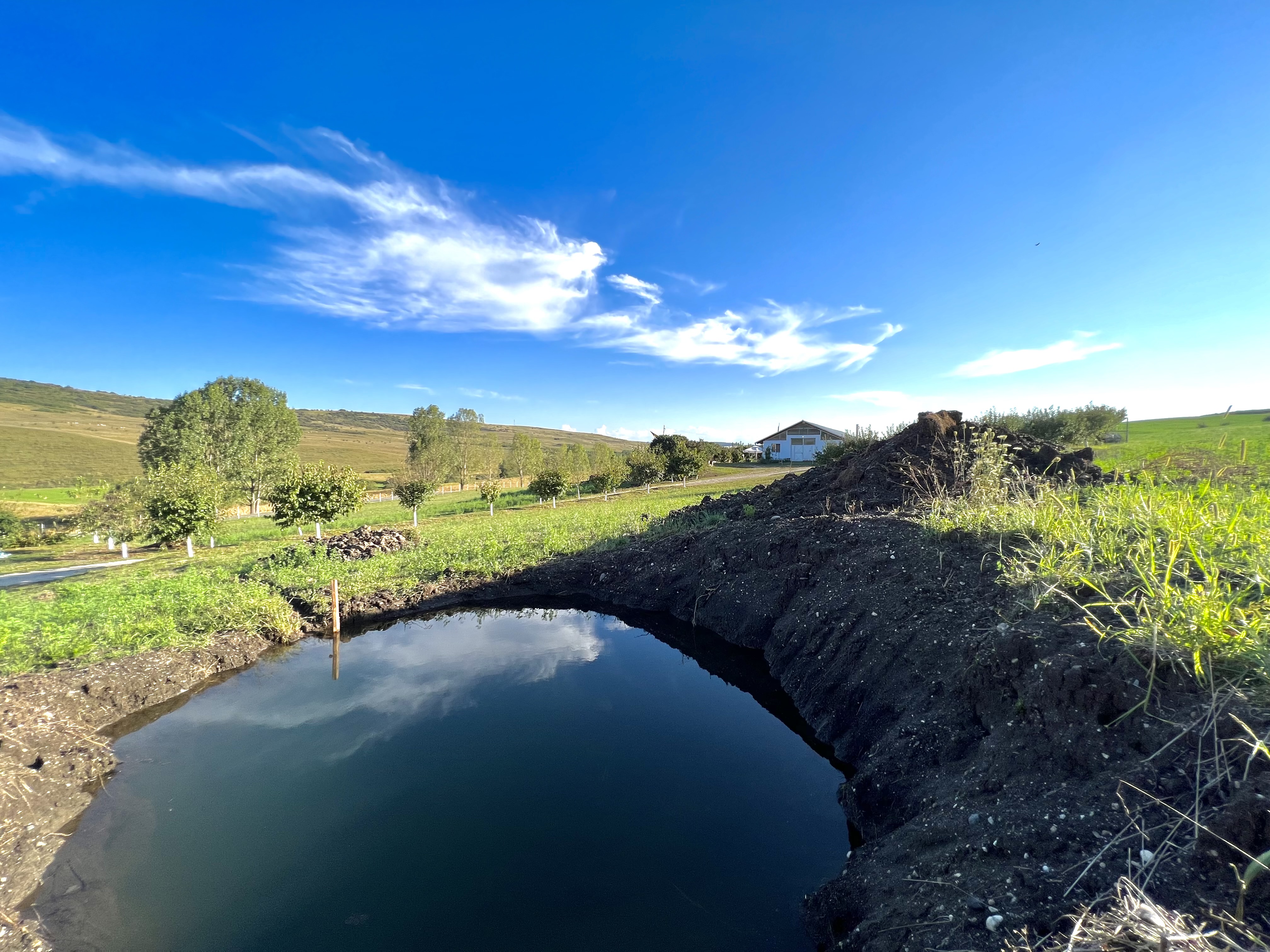 Ferma de vanzare cu 550MP utili si 27.500MP teren la asfalt - Alba Iulia