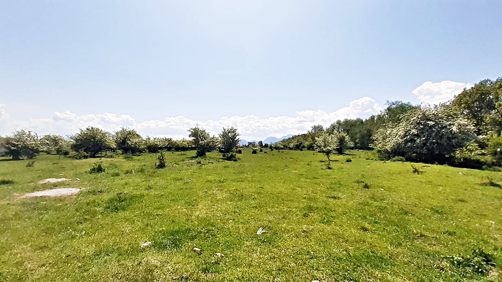 Sanpetru teren pentru dezvoltare imobiliara 4318mp, 55 euro/mp - foto 5