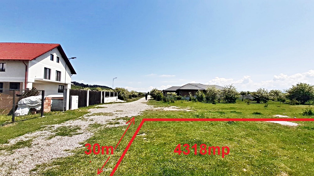Sanpetru teren pentru dezvoltare imobiliara 4318mp, 55 euro/mp - foto 2