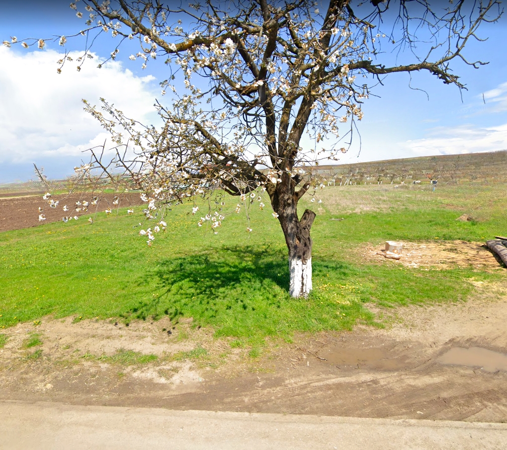Teren intravilan, 3600 mp, la sosea, toate utilitatile, Oarda de Jos - Alba Iulia