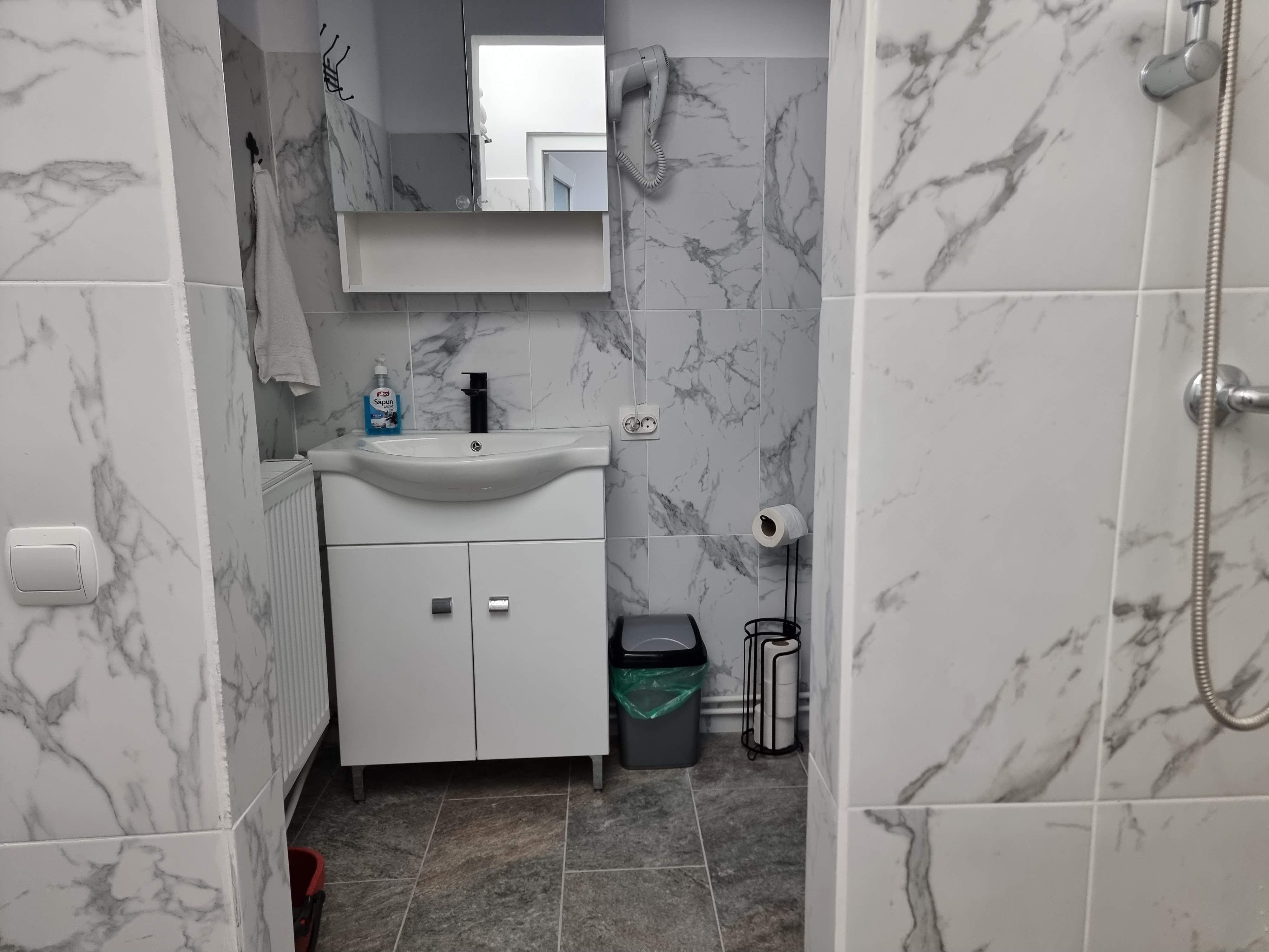 Spatiu comercial sau de birouri, 126 mp, zona Gara - foto 5