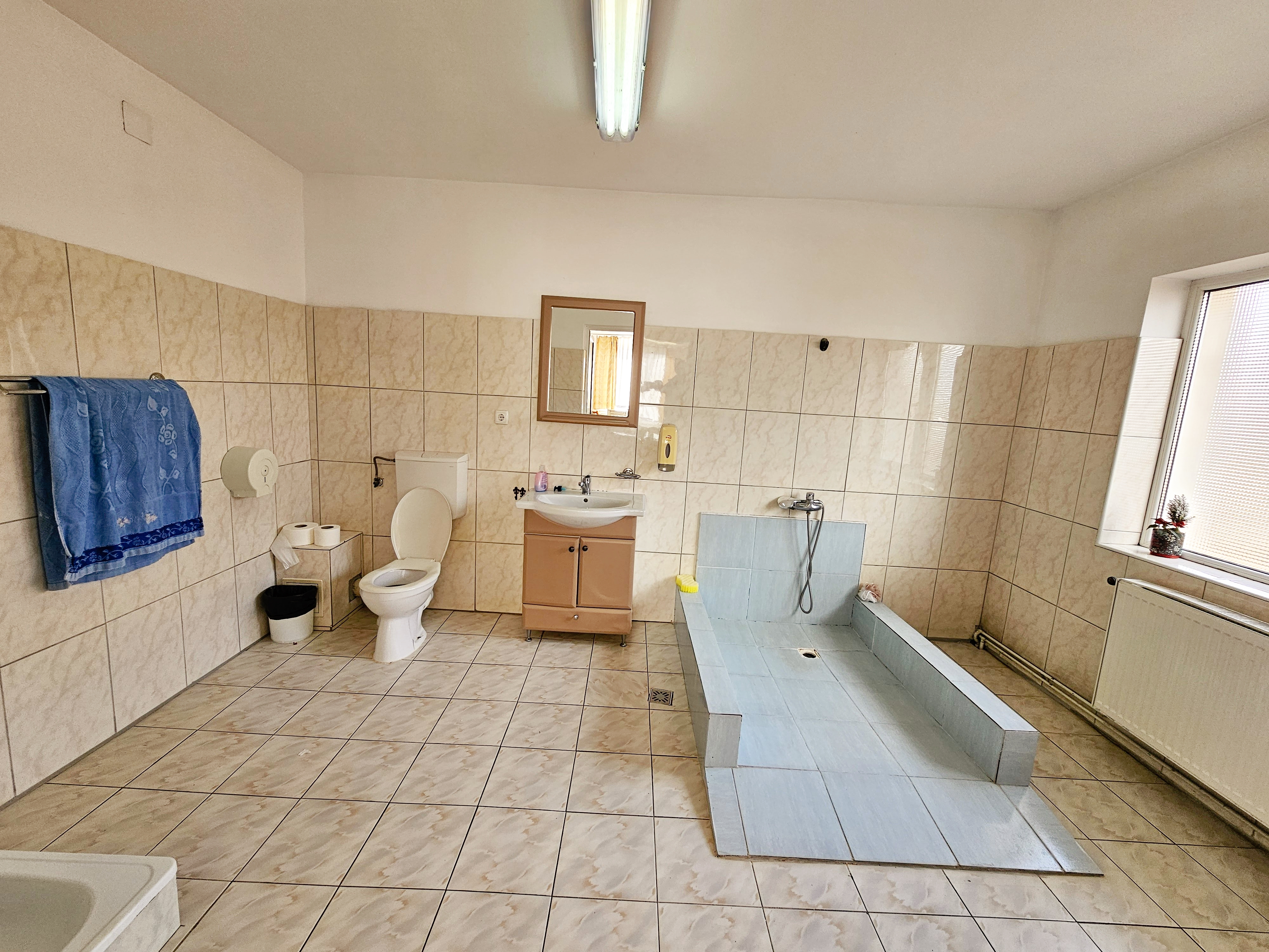 Casa 10 camere, 878 mp teren, toate utilitatile, Barabant - foto 5