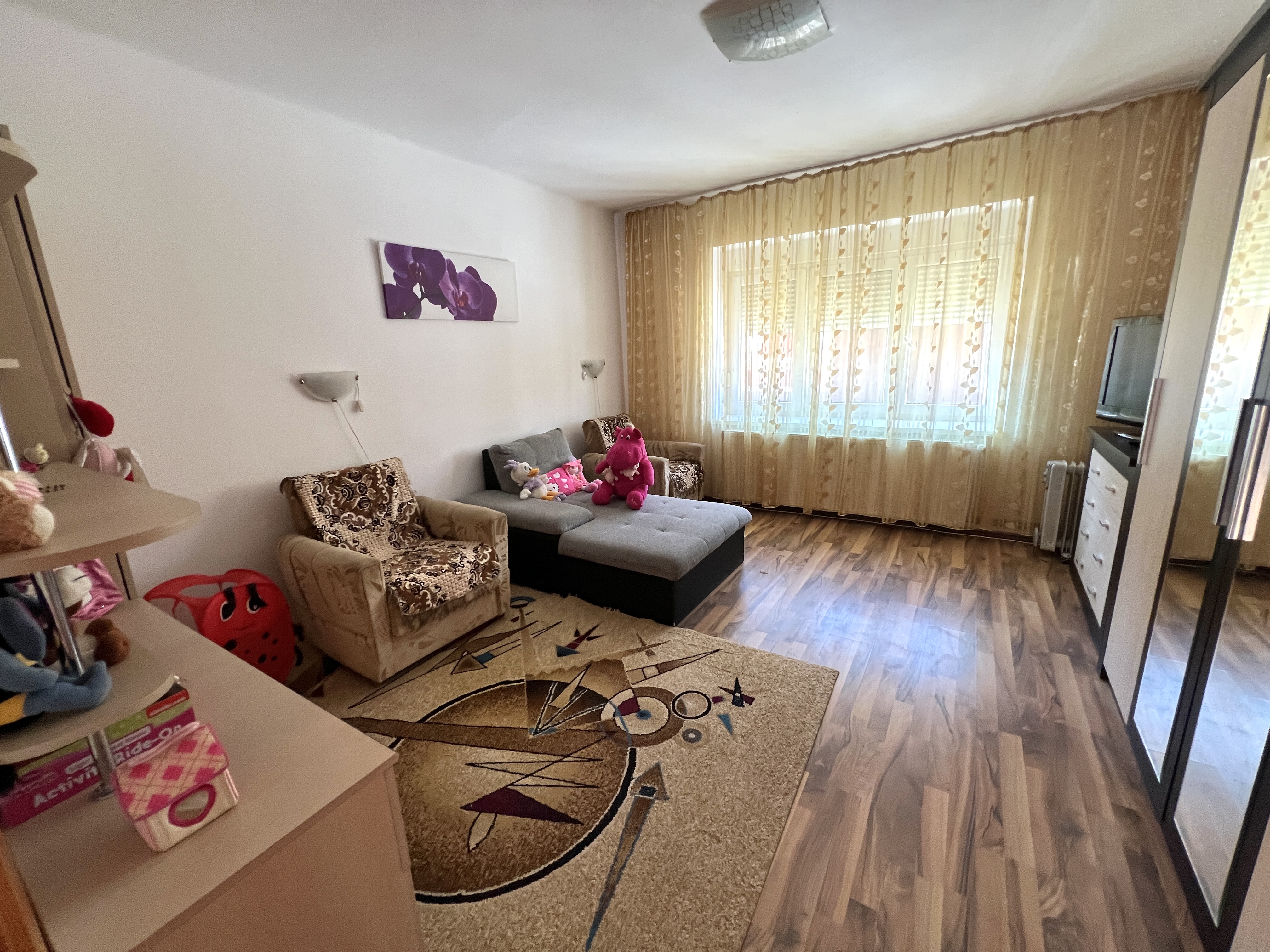 Casa de vanzare pretabila 2 familii, garaj, livada, comuna Pianu - foto 3