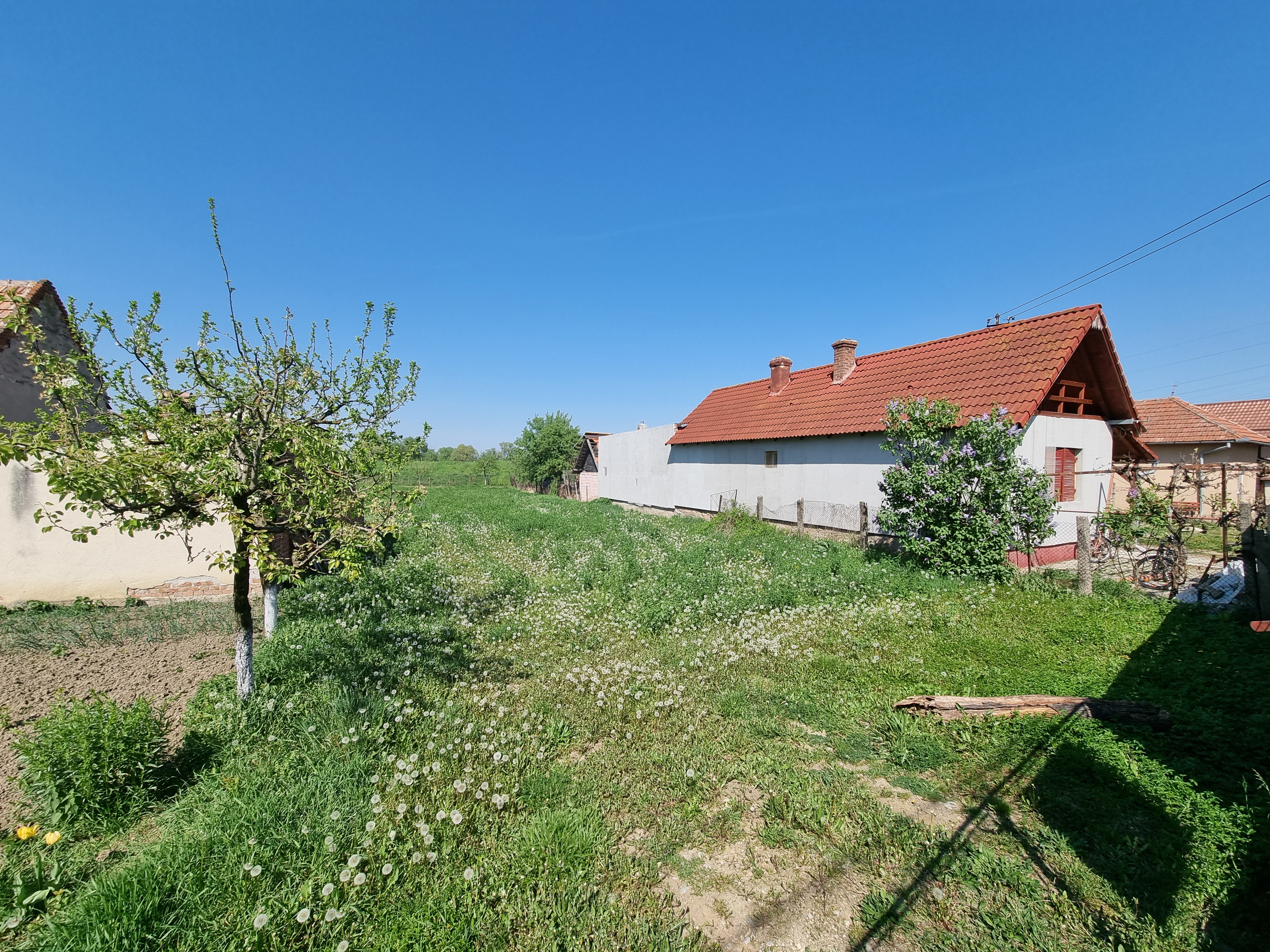 De vanzare 1218 teren intravilan, cu utilitati si asfalt, Oarda de Jos - foto 3