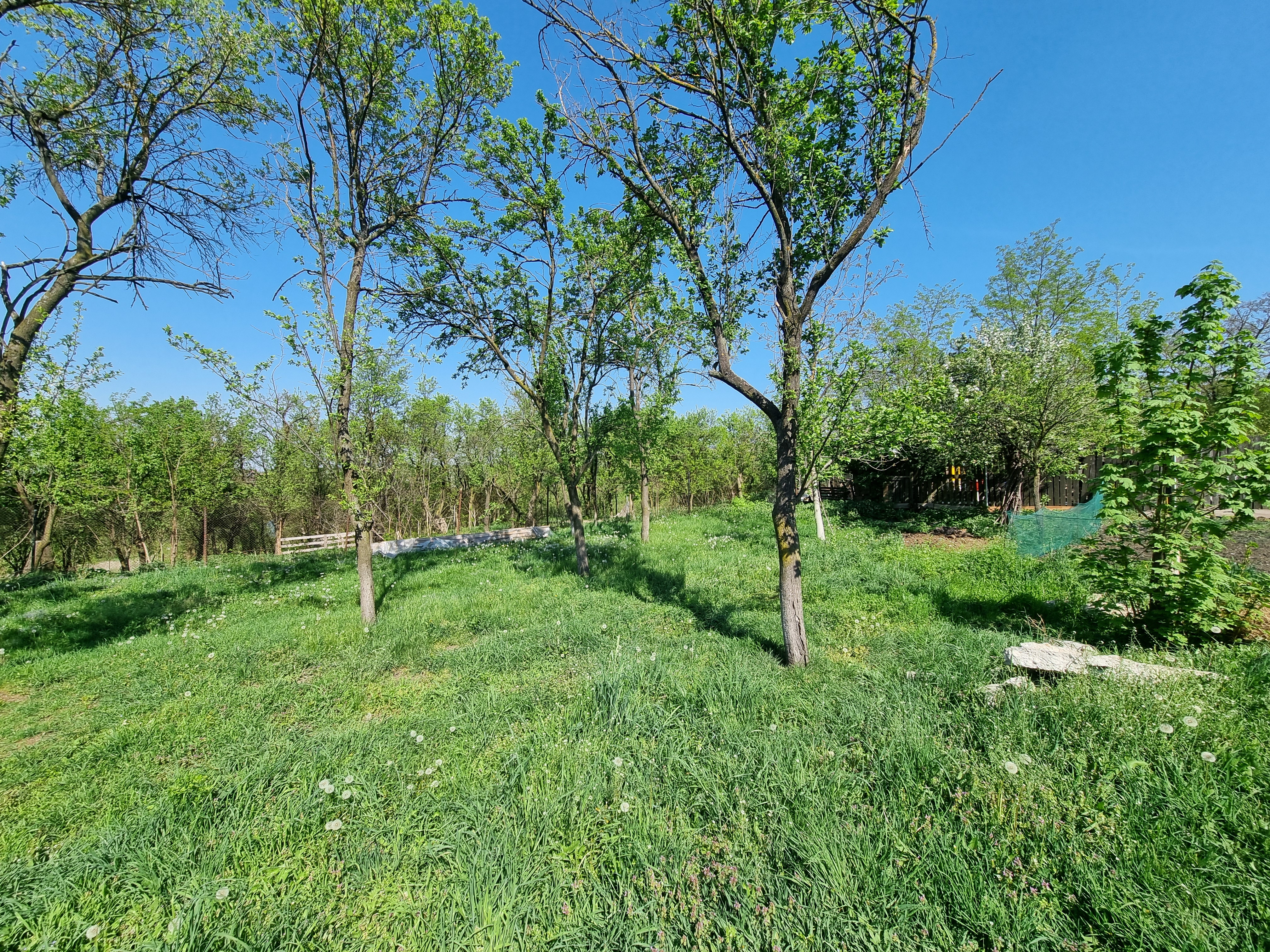 De vanzare 1365 teren intravilan, cu utilitati, Oarda de Sus - foto 4