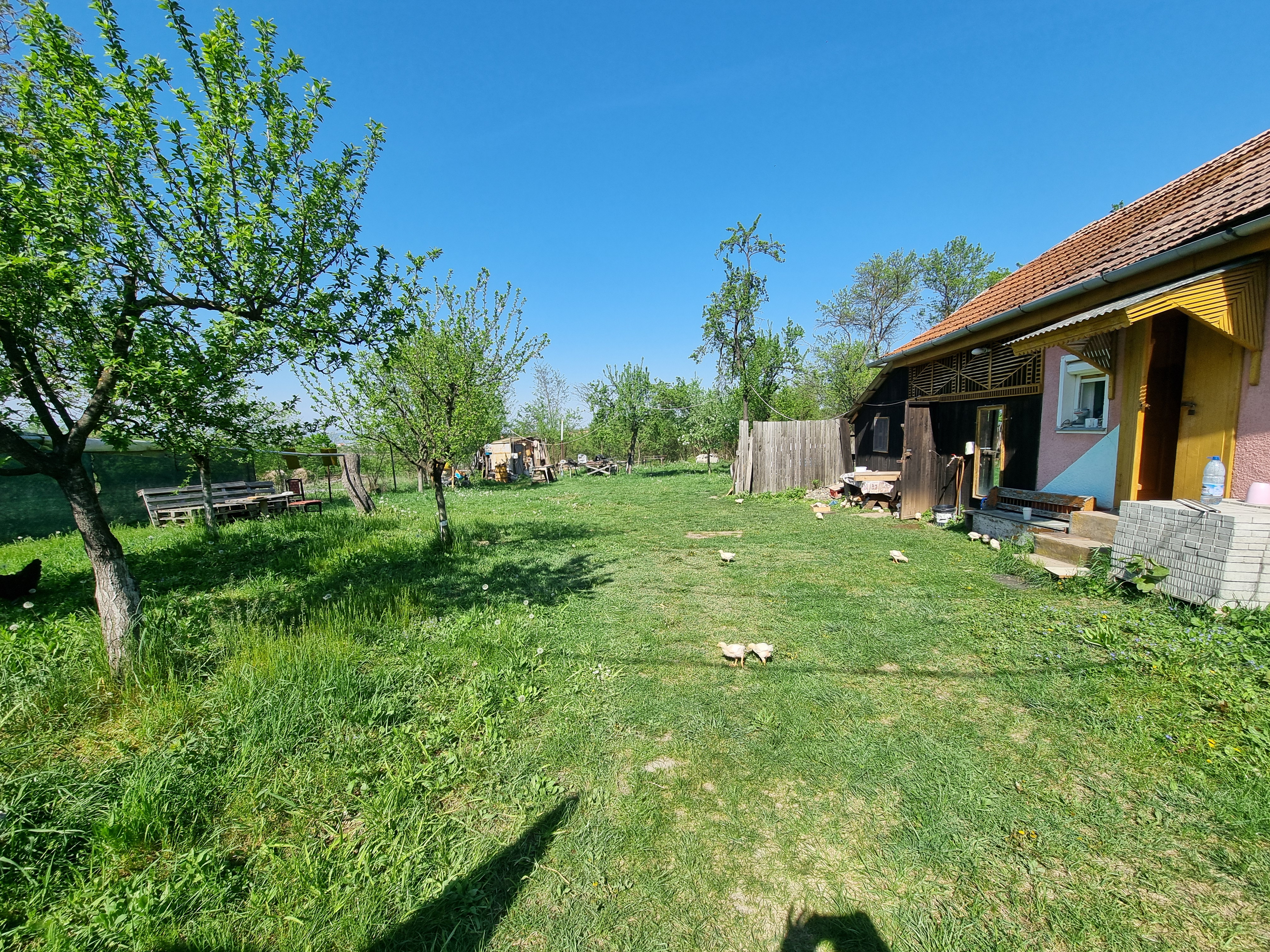 De vanzare 1365 teren intravilan, cu utilitati, Oarda de Sus - foto 3