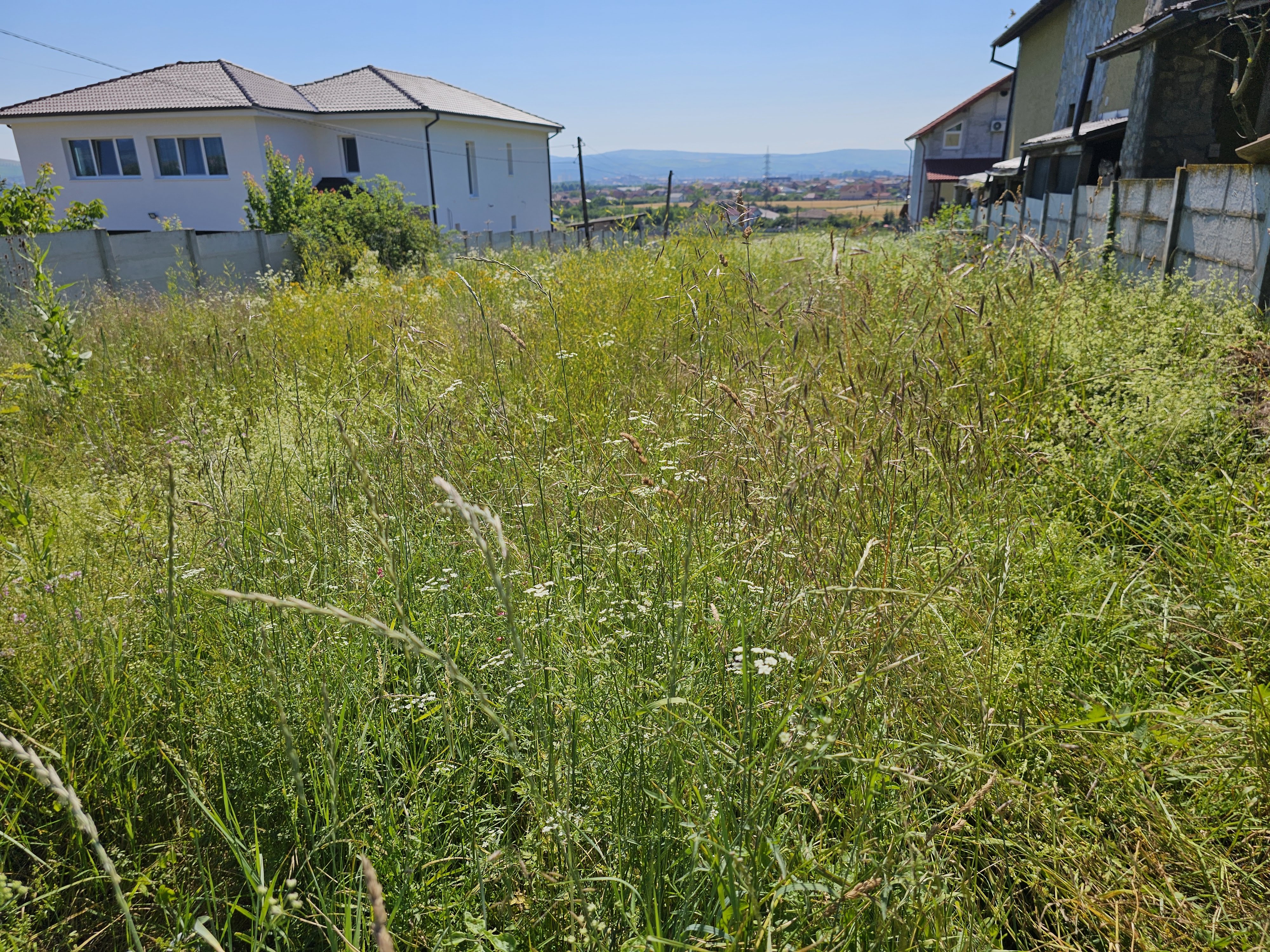 Teren intravilan, 2600 mp, zona Micesti, langa padure - Alba Iulia