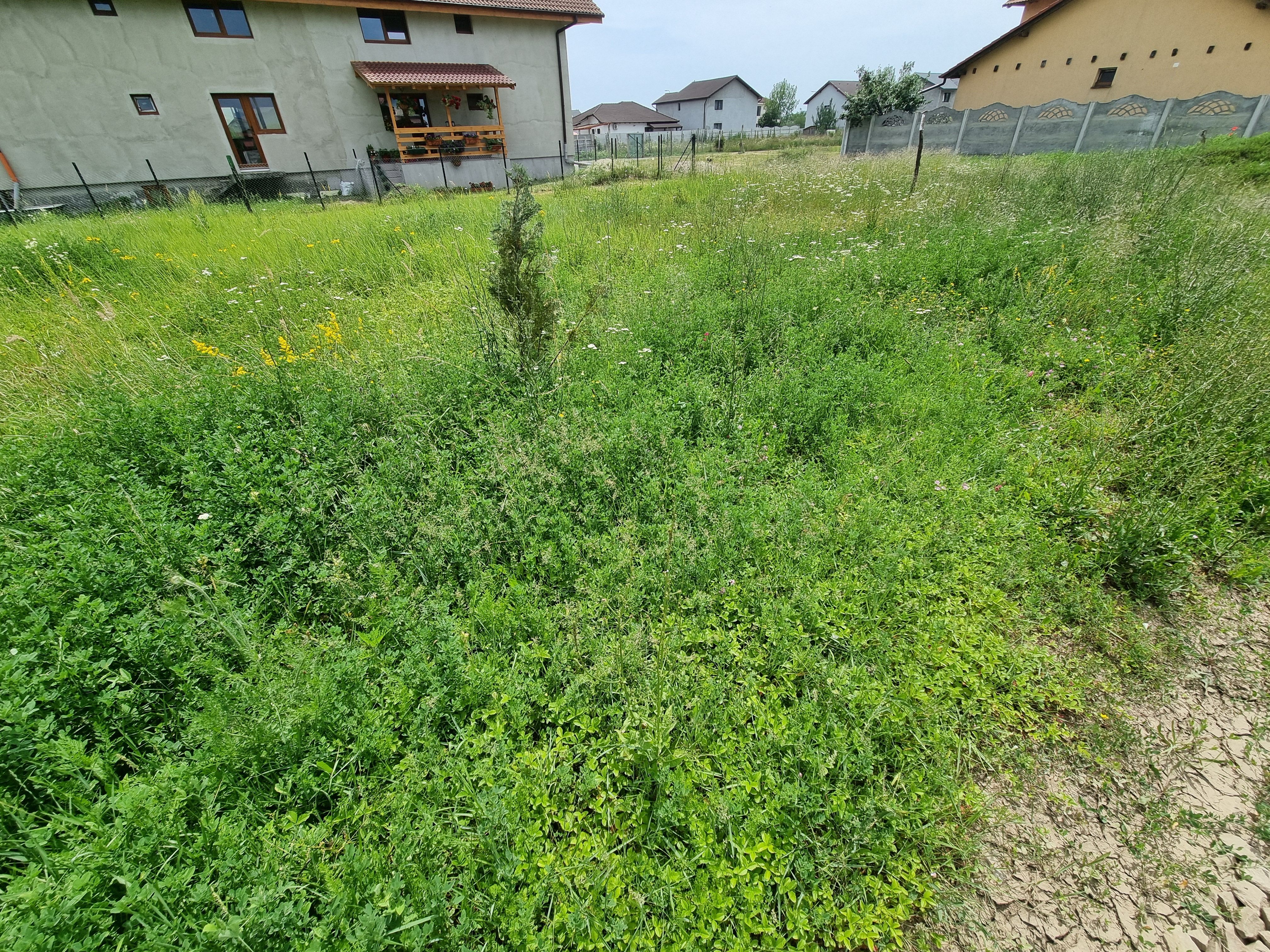 De vanzare teren 450mp intravilan, cu utilitati, zona Orizont - foto 5