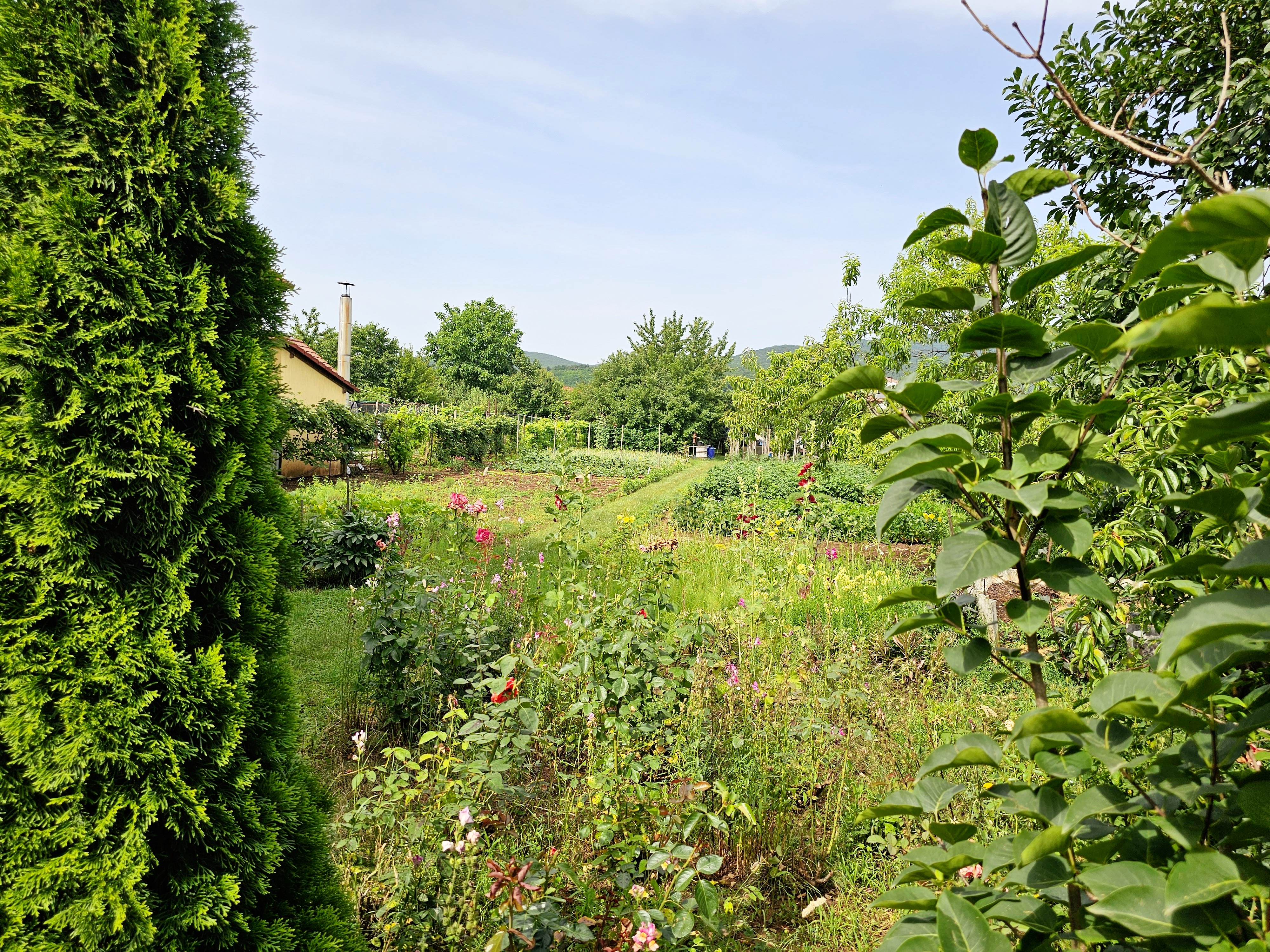 Teren intravilan, 1400 mp, toate utilitatile, zona Micesti - Alba Iulia