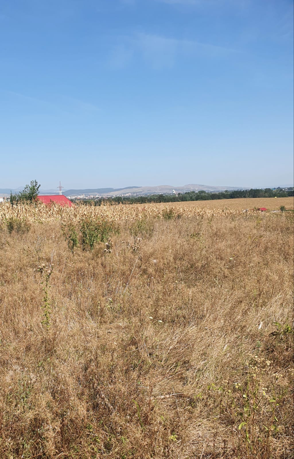 Oportunitate investitie. Oarda de Jos, 16 parcele de 490 mp - foto 2