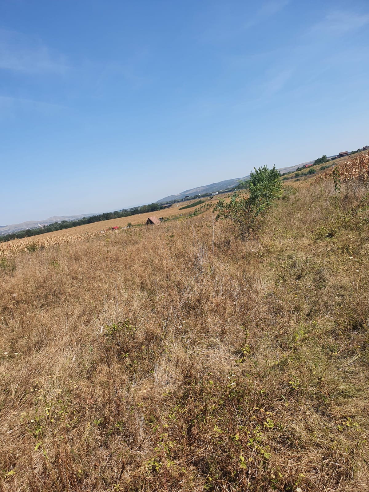 Oportunitate investitie. Oarda de Jos, 16 parcele de 490 mp - foto 3