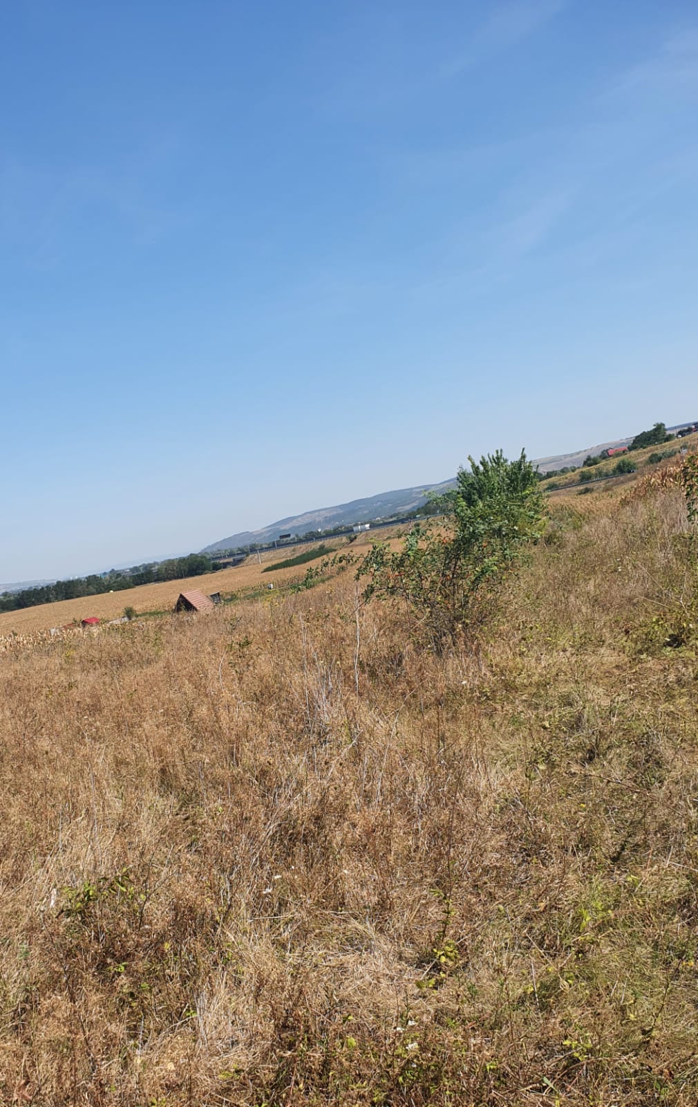 Oportunitate investitie. Oarda de Jos, 16 parcele de 490 mp - foto 4