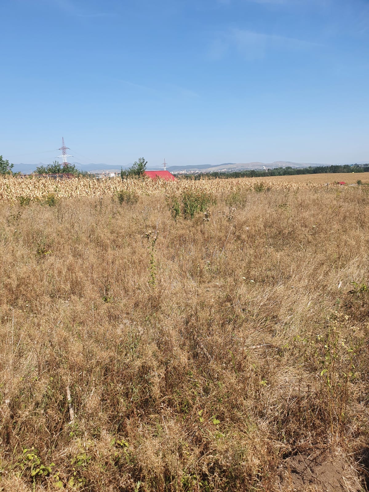 Oportunitate investitie. Oarda de Jos, 16 parcele de 490 mp - Alba Iulia