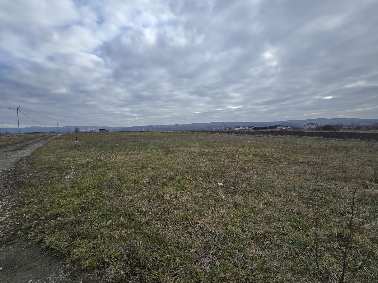 Teren Intravilan 10.000MP Zona Partos - Alba Iulia