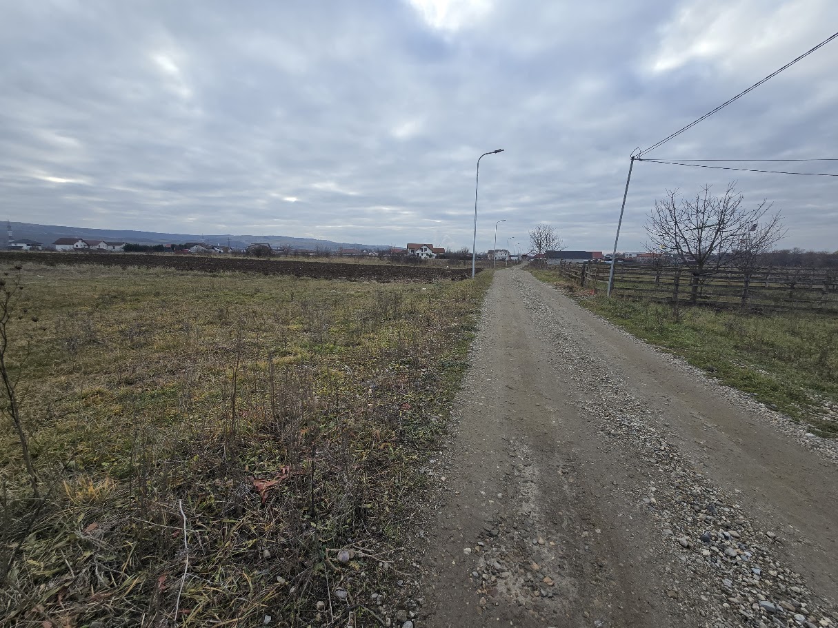 Teren Intravilan 10.000MP Zona Partos - foto 3