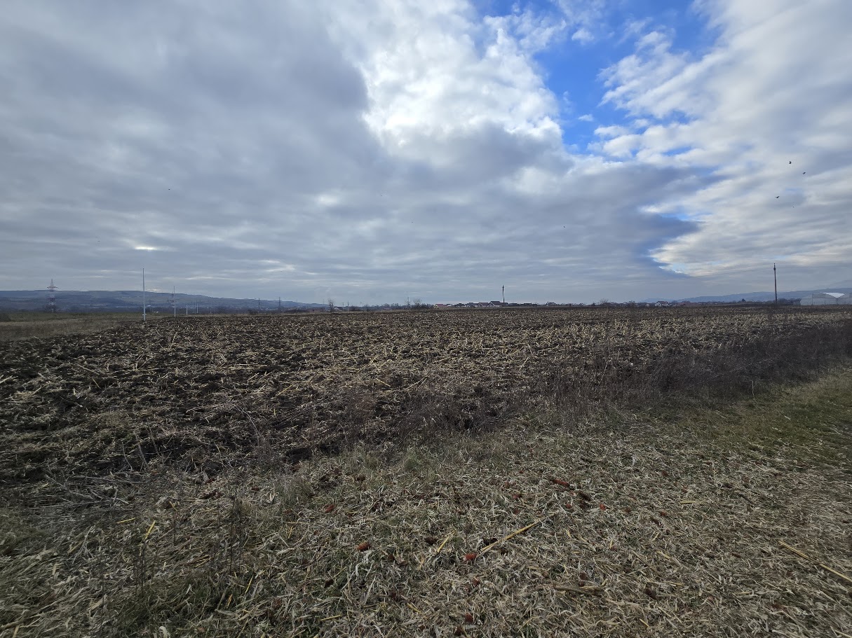 Teren Intravilan 10.000MP Zona Partos - foto 4