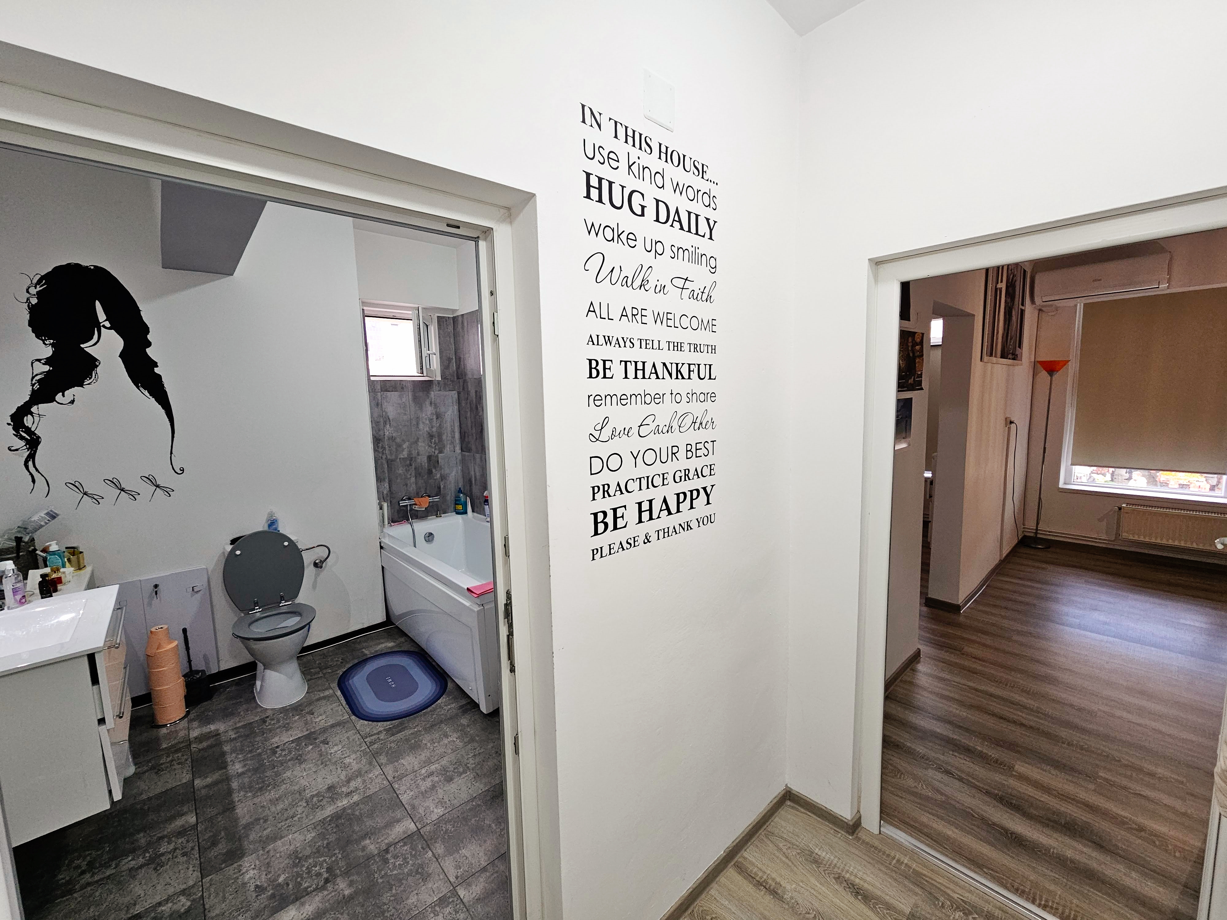 Spatiu comercial, 170 mp utili, pretabil pt regim hotelier sau birouri - foto 4