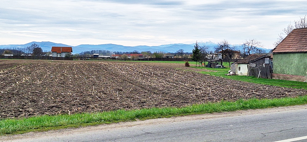 Teren intravilan pentru case in centrul Podu Oltului de 5600mp, 28 euro/mp - foto 5