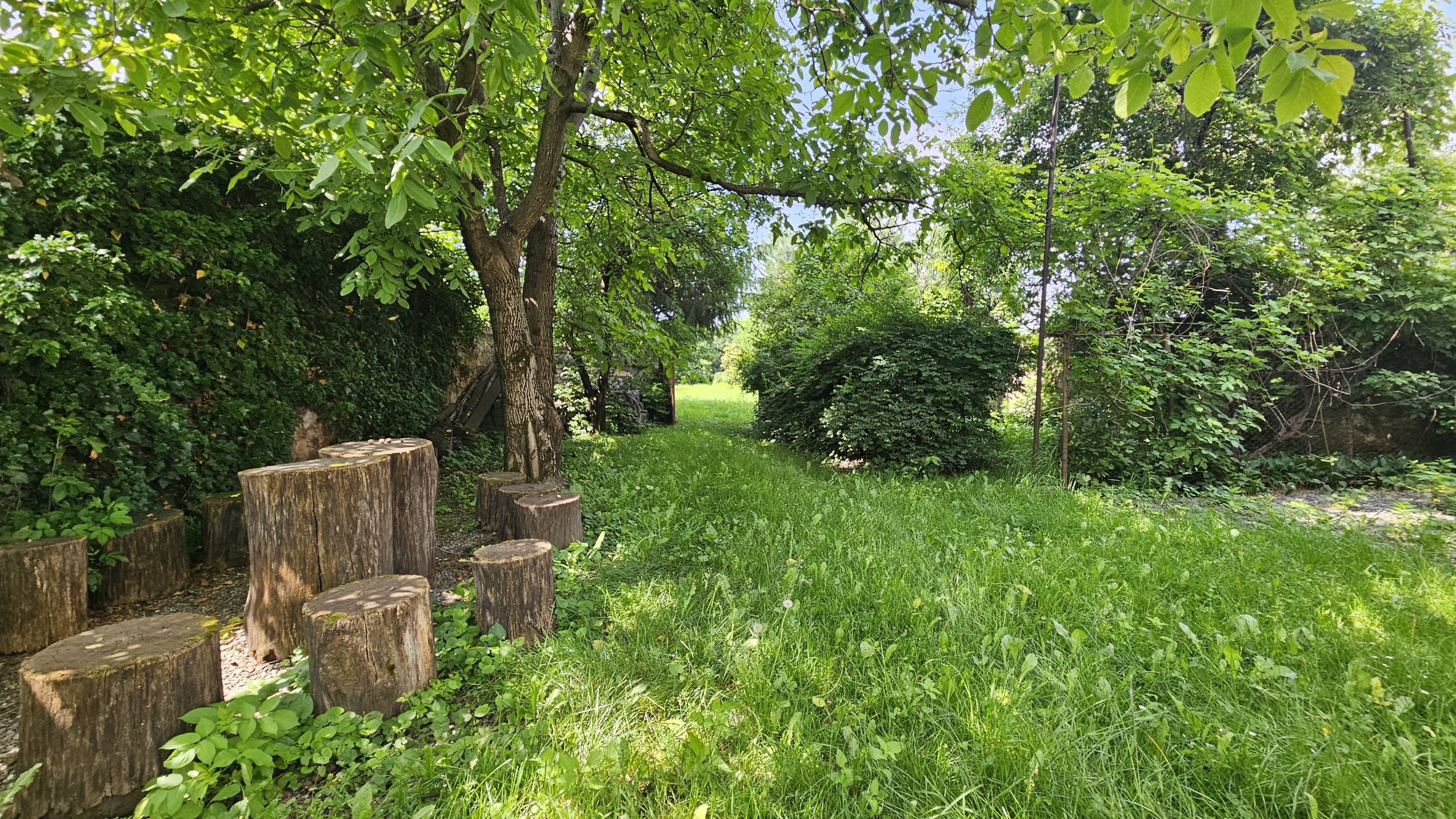 Cristian aproape de Primarie casa saseasca teren 1400 mp - foto 4