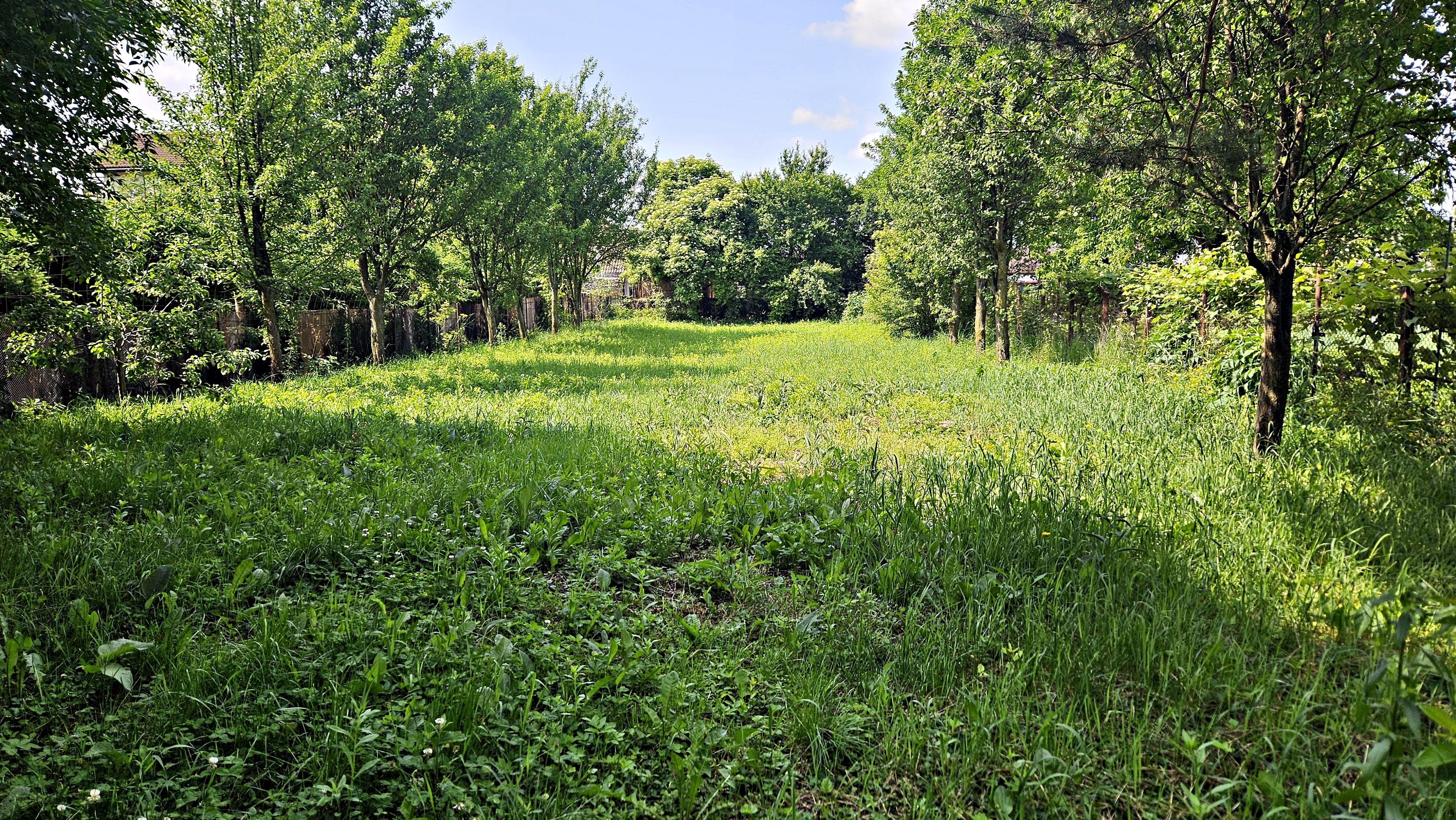 Cristian aproape de Primarie casa saseasca teren 1400 mp - foto 3