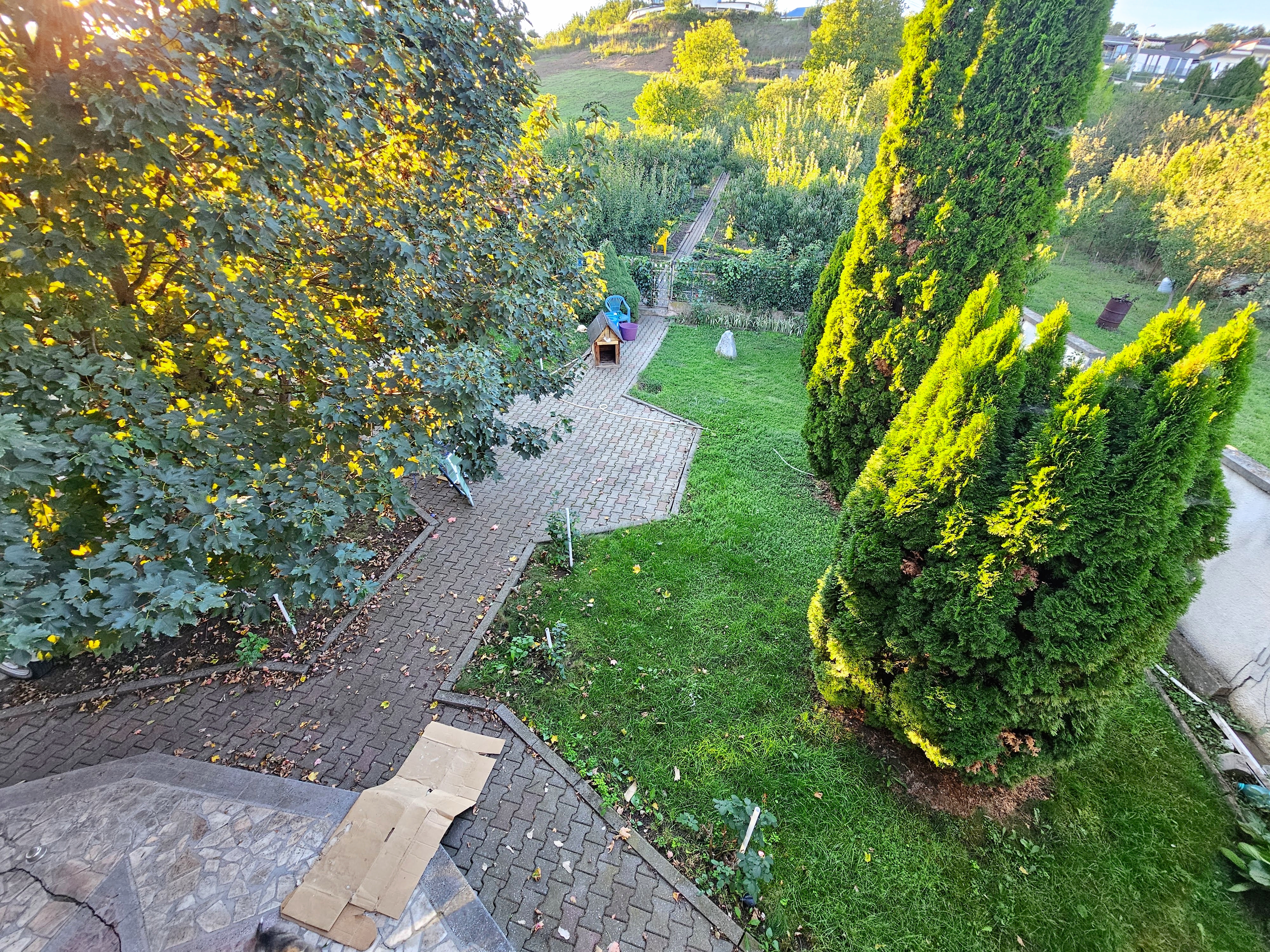 Casa 8 camere, S+P+1, teren 1377 mp, zona Schit - foto 3