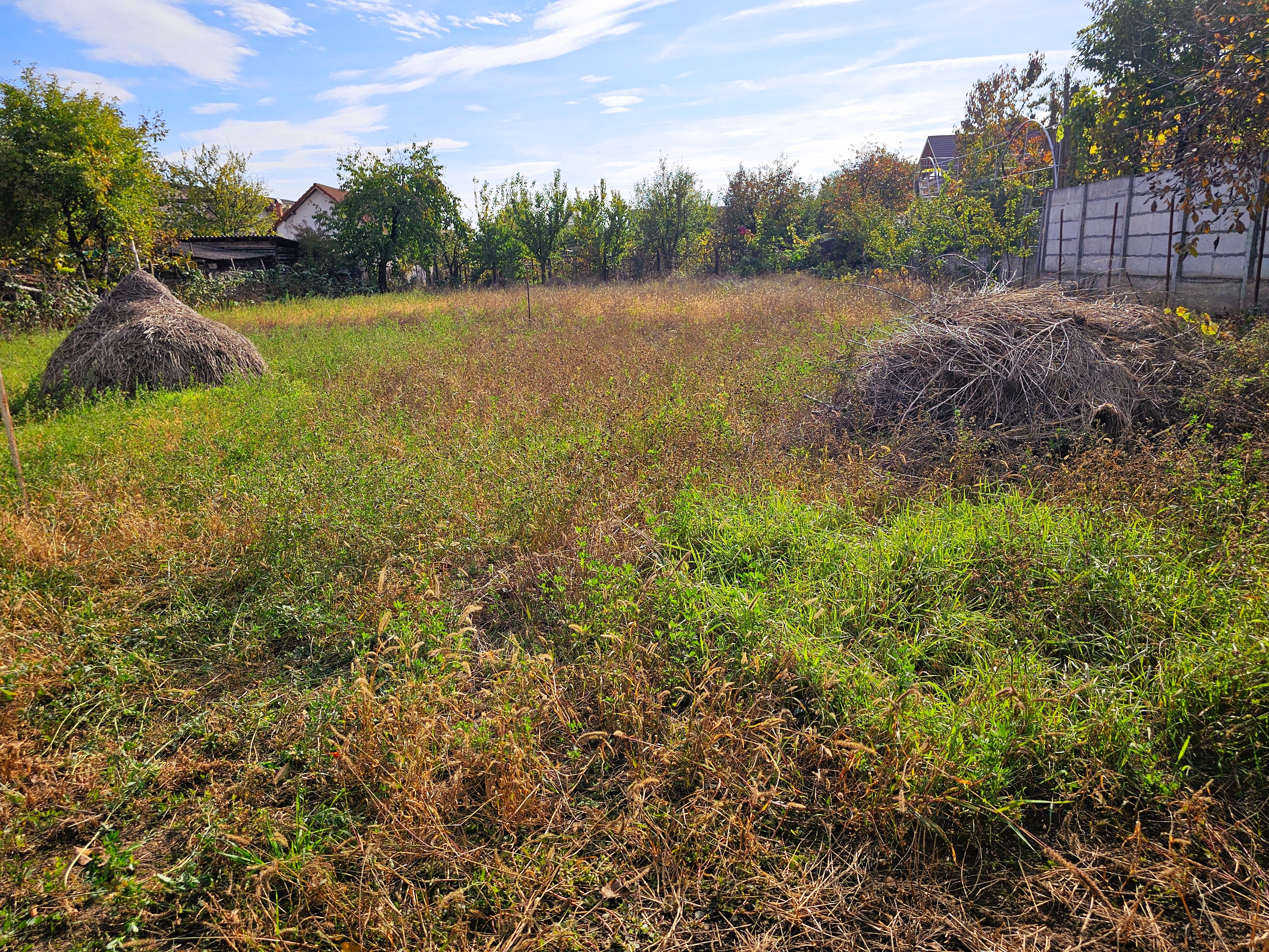 Oportunitate de investiție! 740 mp teren cu casa demolabila, Cetate - foto 2