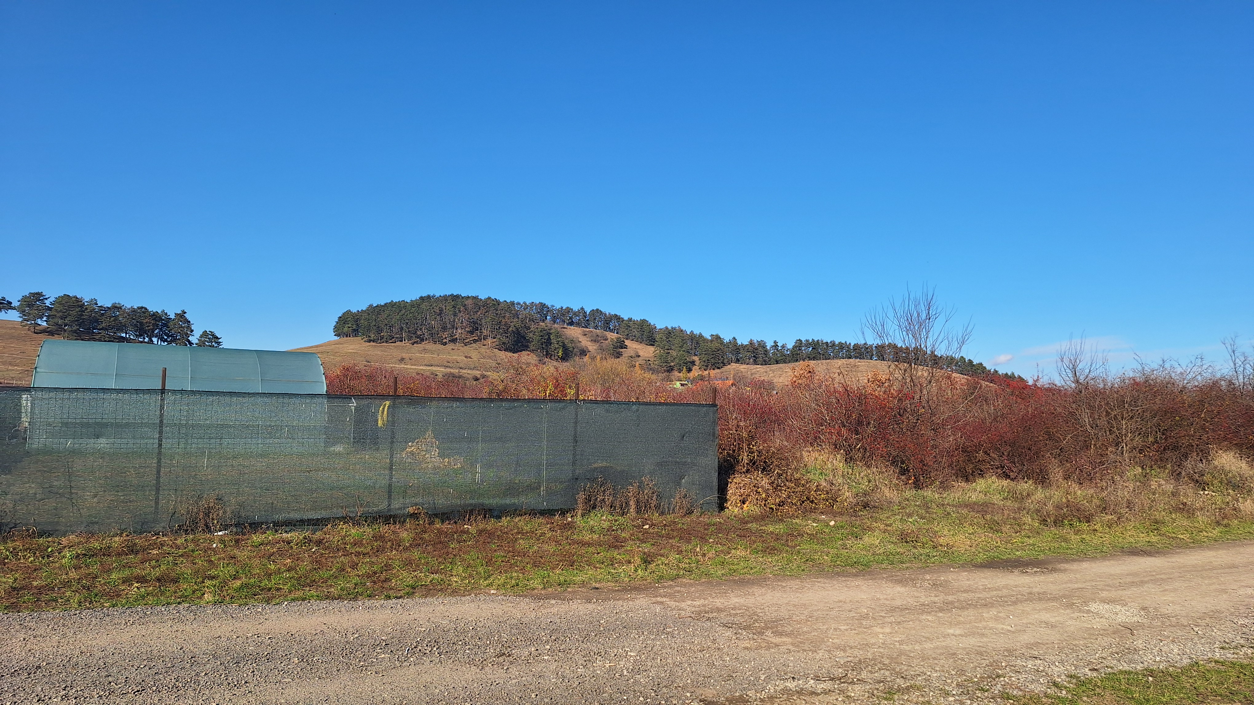 Teren intravilan Sanpetru livada PUZ 2564mp - foto 4